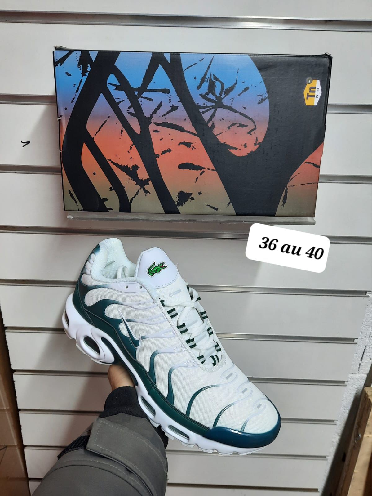 Lacoste Shoes