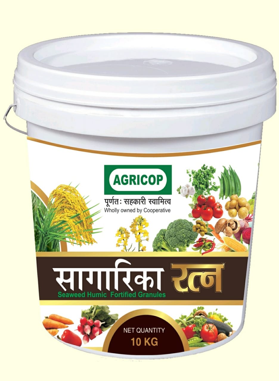 Sagarika Ratna Bucket 10 Kg