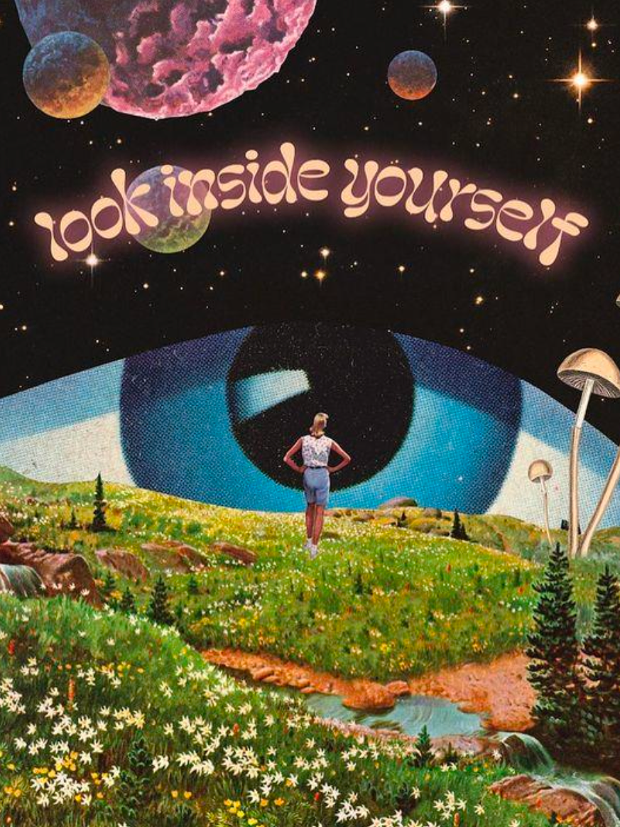Programme d'introspection