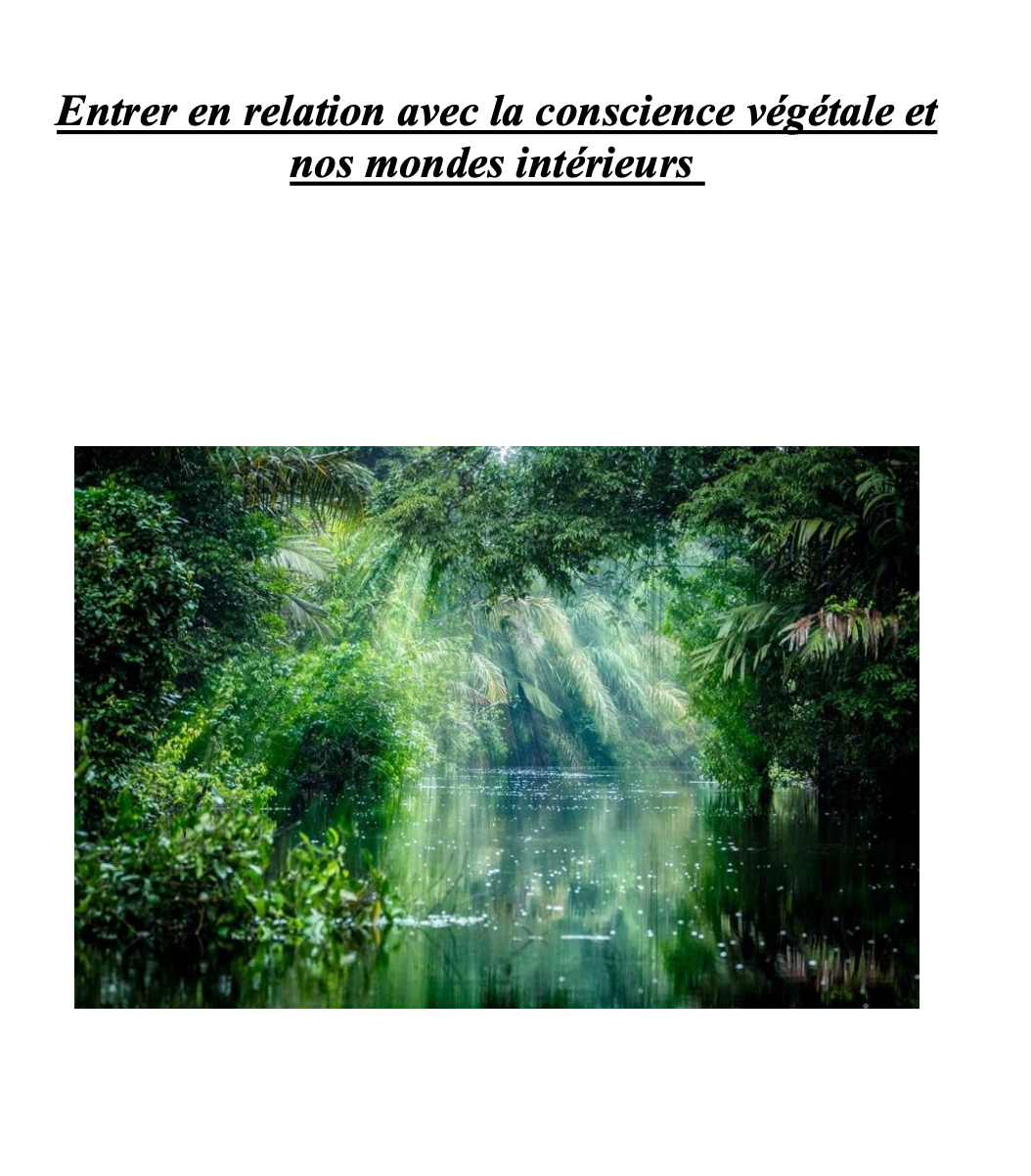 Entrer en relation avec la conscience végétale et non mondes intérieurs