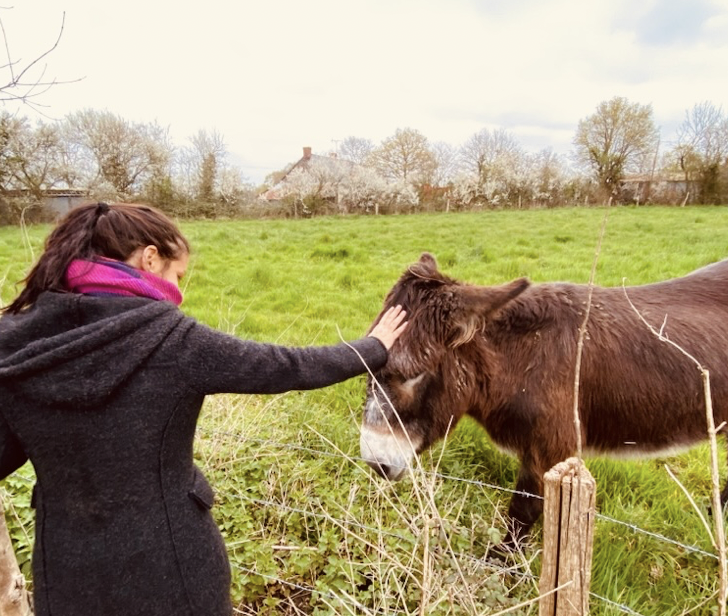 Télépathie animal