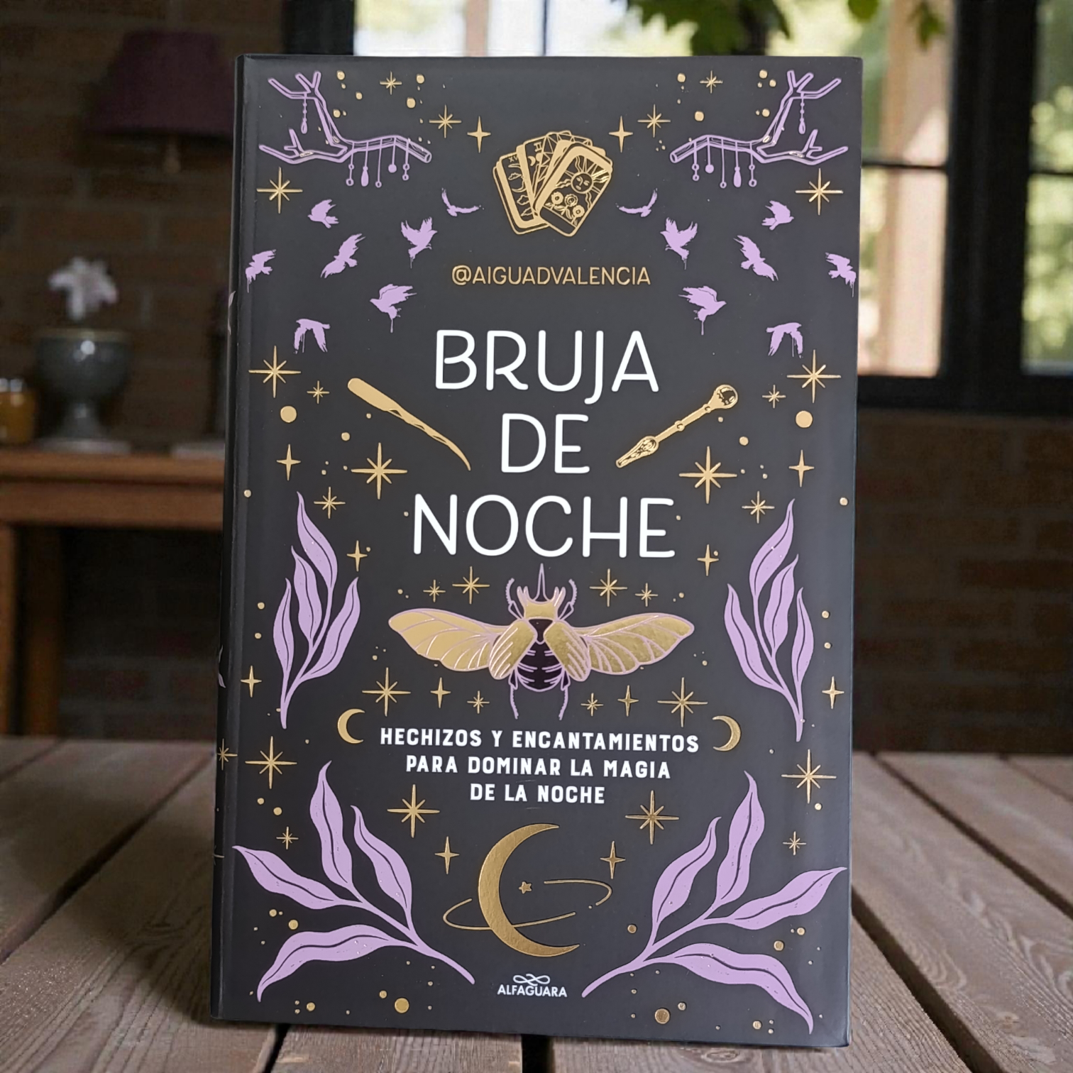 Bruja de Noche