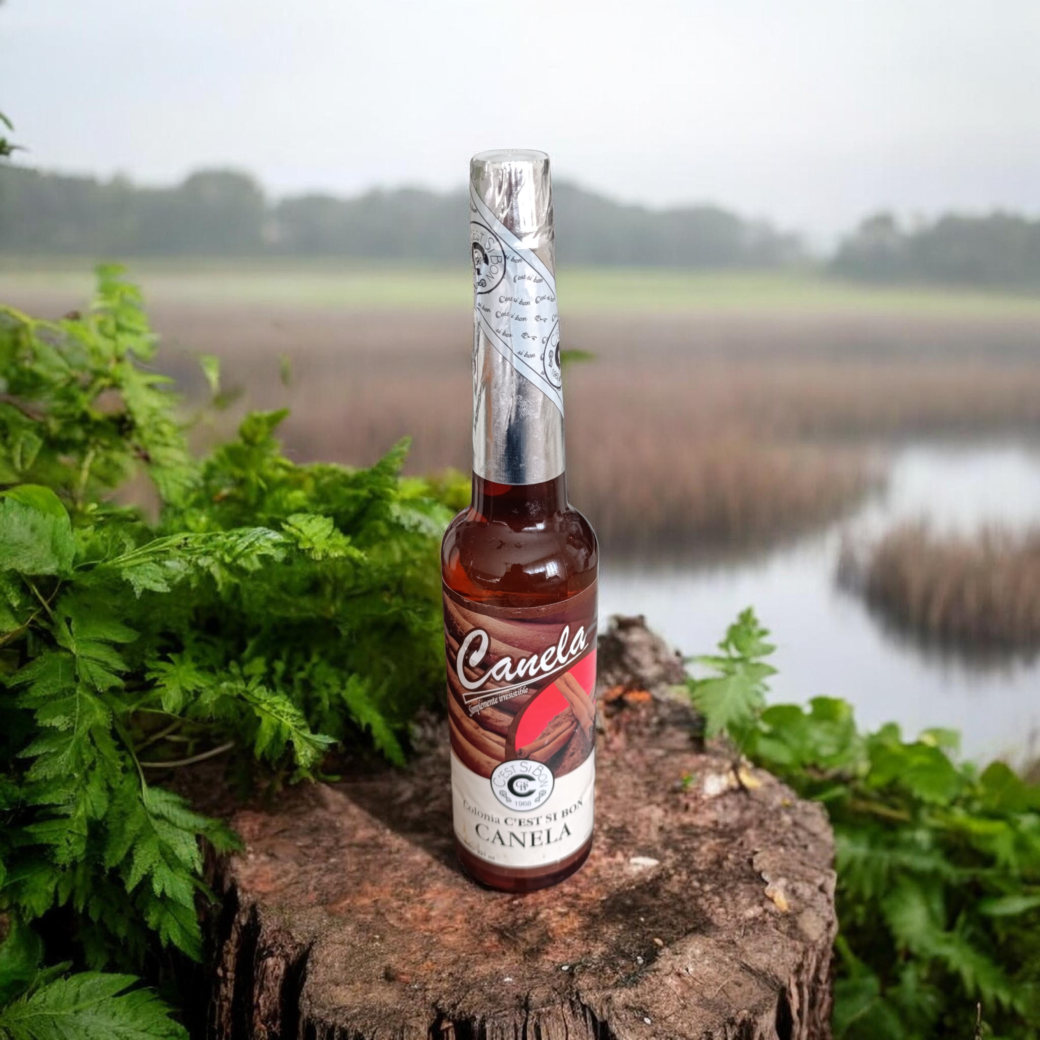 Agua de Canela – Atracción, protección y energía positiva