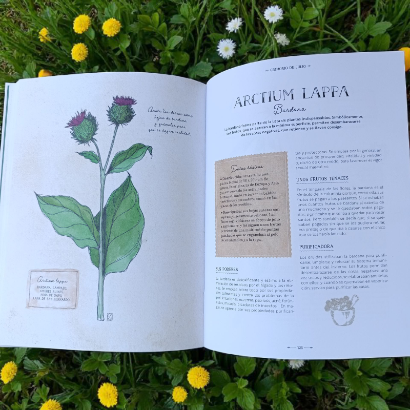 Libro “Herbario de las Brujas” – Guía ilustrada de 80 hierbas y usos mágicos
