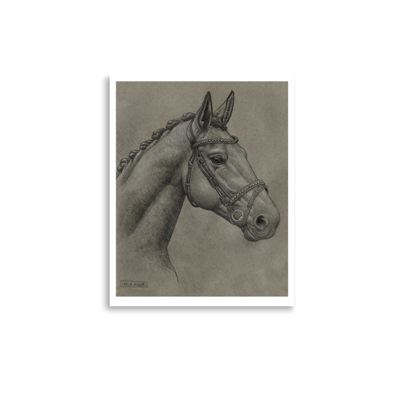 Horse Portrait Fine Art Print