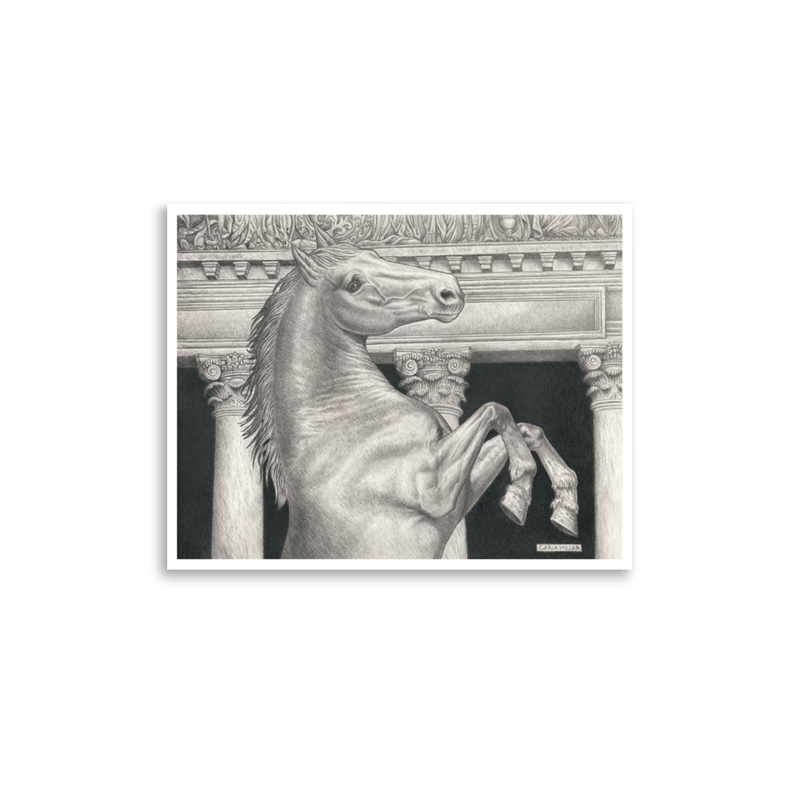 Classical Horse Drawing Fine Art Print