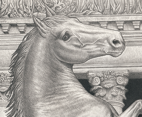 Classical Horse Drawing Fine Art Print