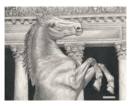 Classical Horse Drawing Fine Art Print