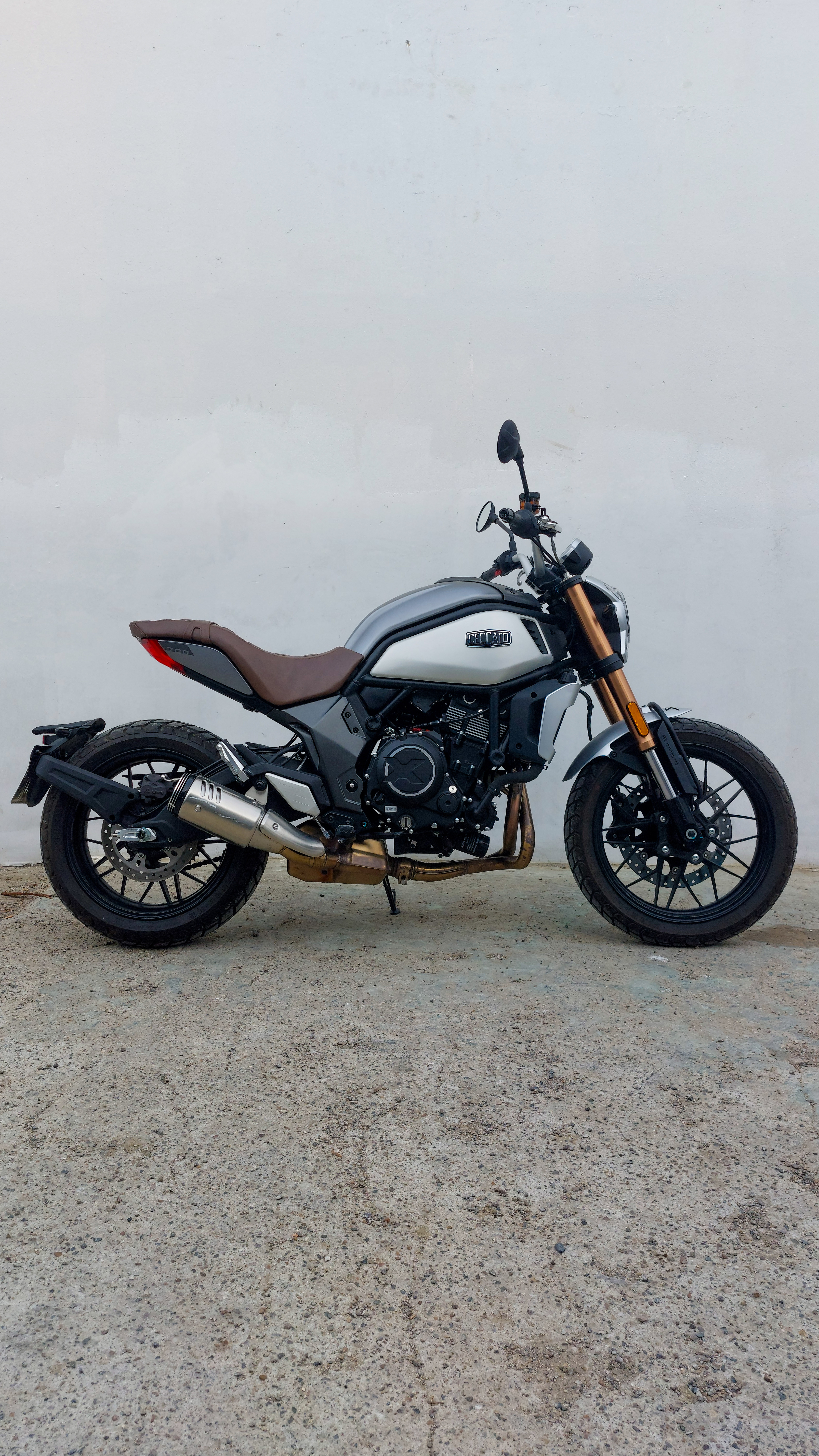 CECCATO 700 AÑO 2022