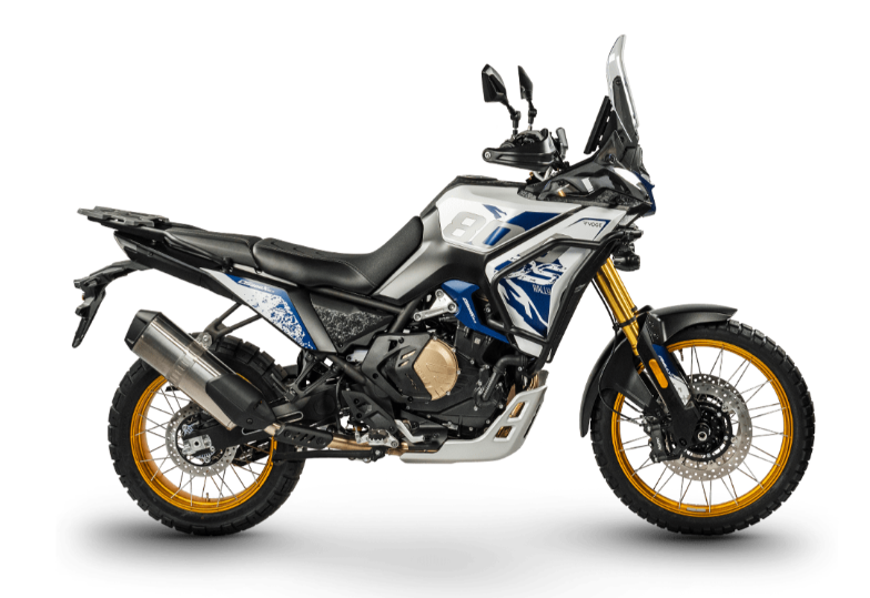 DS800X RALLY