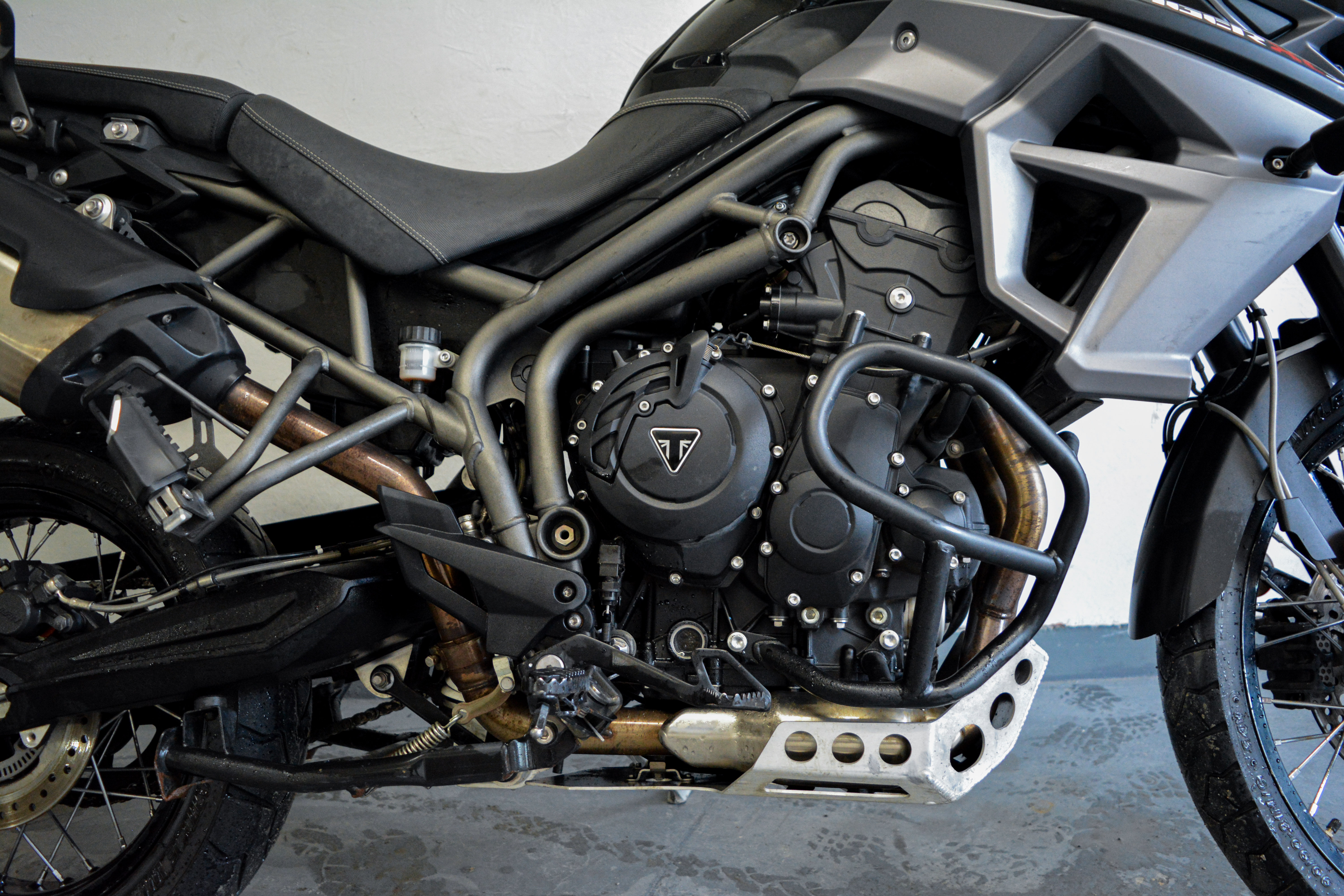 TIGER 800 XCX