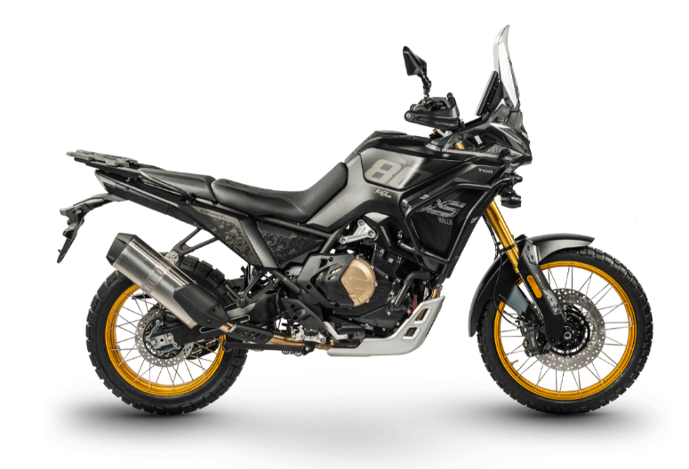 DS800X RALLY