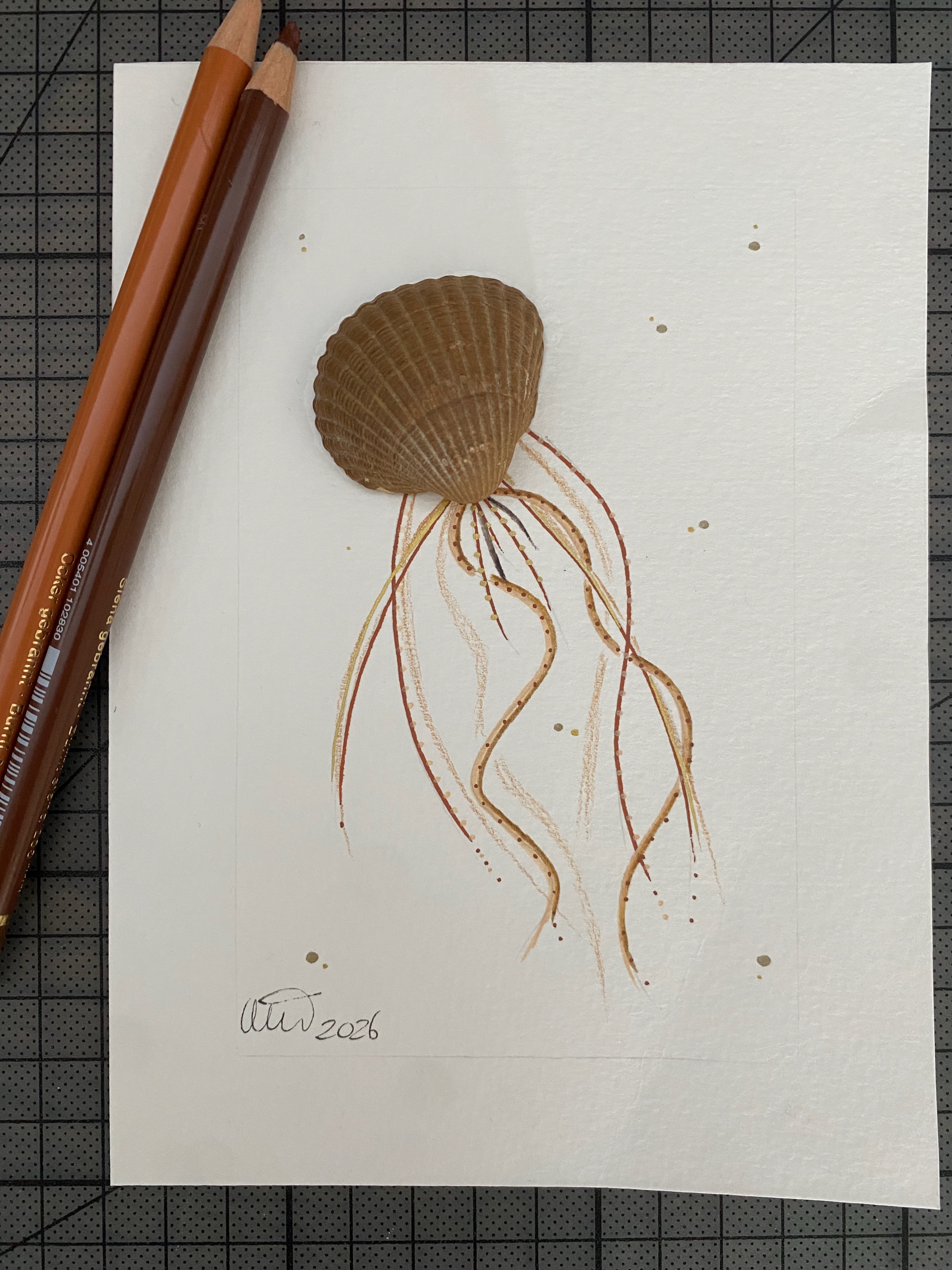 Shadowbox De Gele Haarkwal