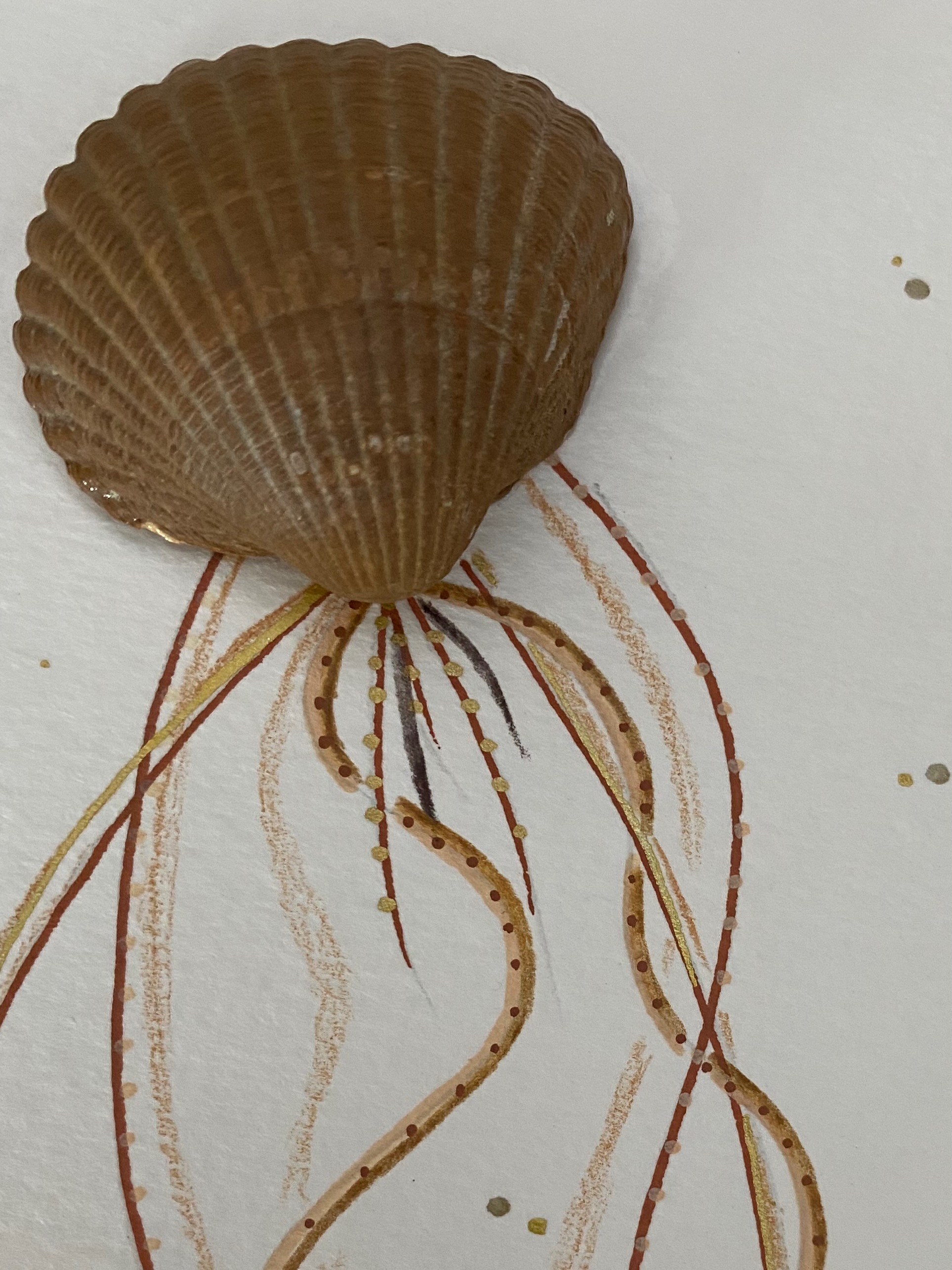 Shadowbox De Gele Haarkwal