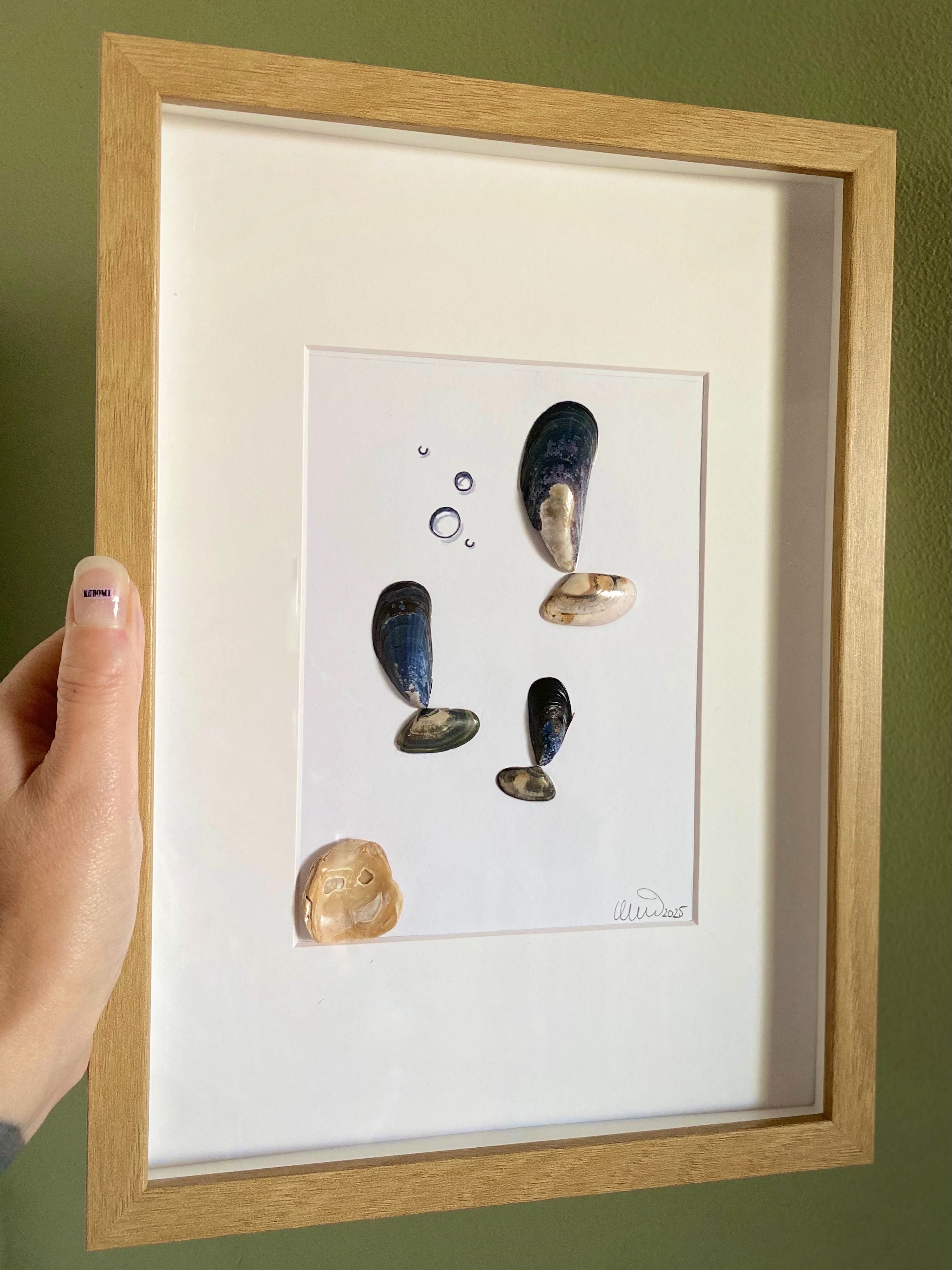 Shadowbox De Blauwe Vinvissen