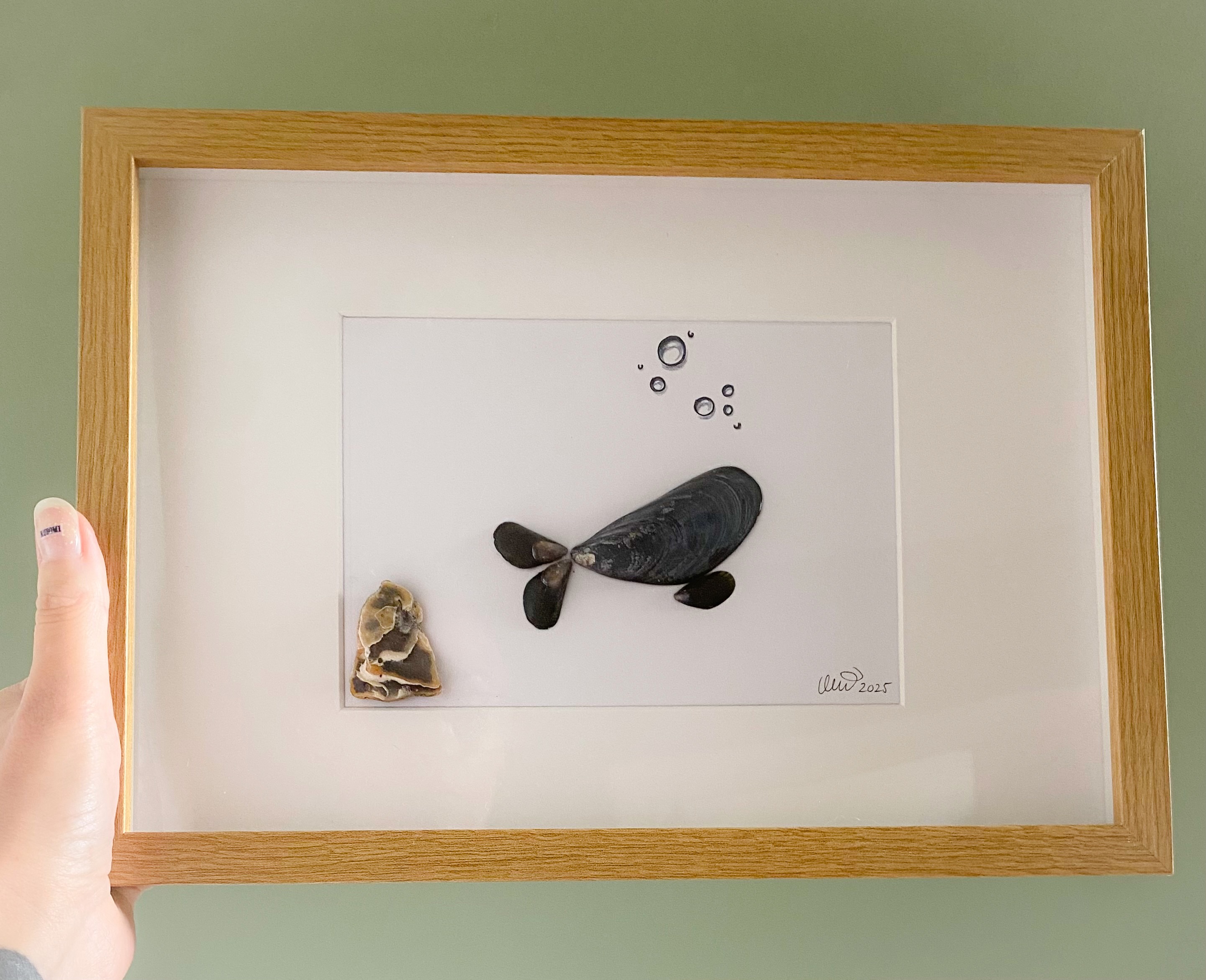 Shadowbox De Blauwe Vinvis