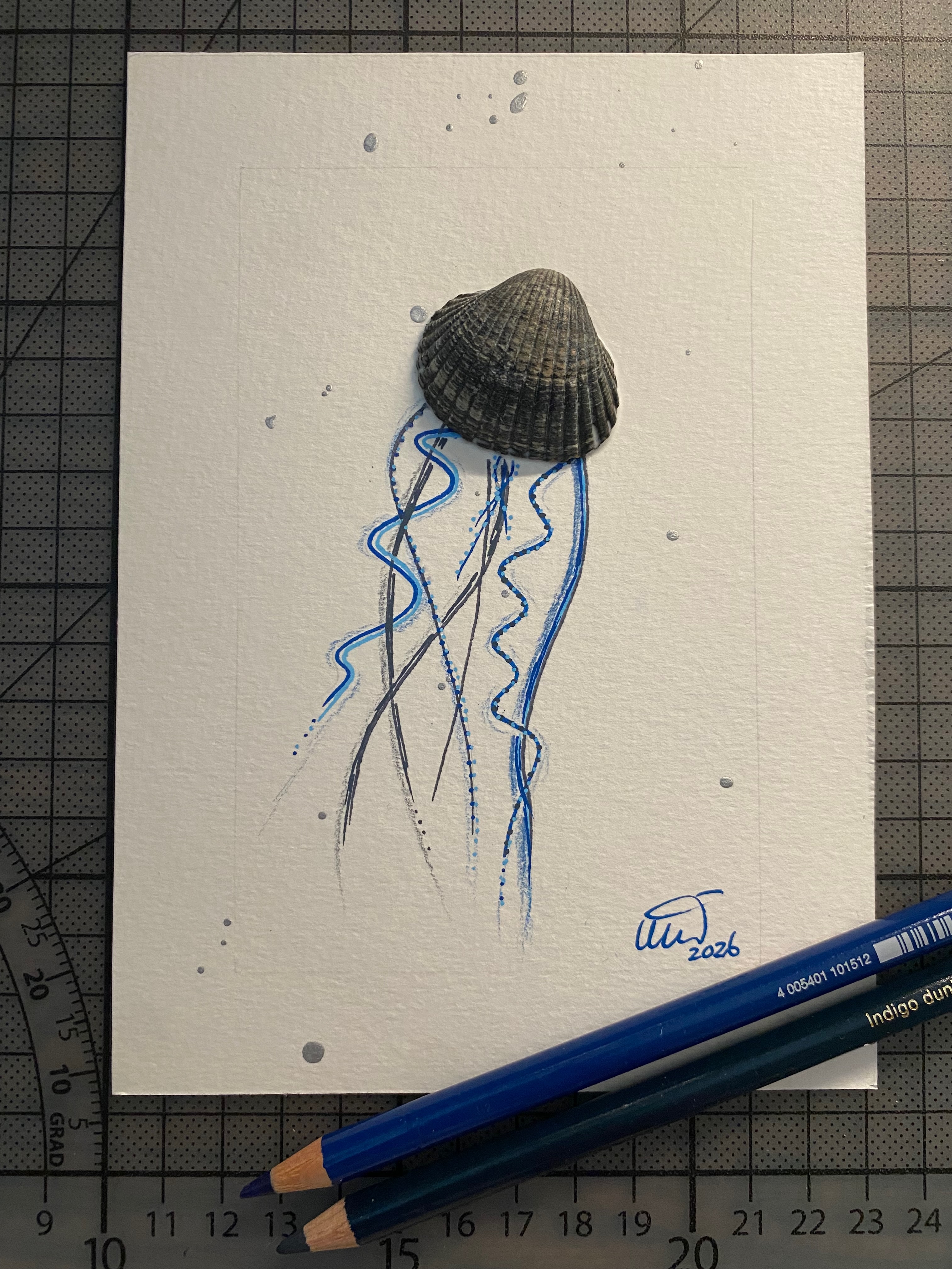 Shadowbox De Blauwe Haarkwal