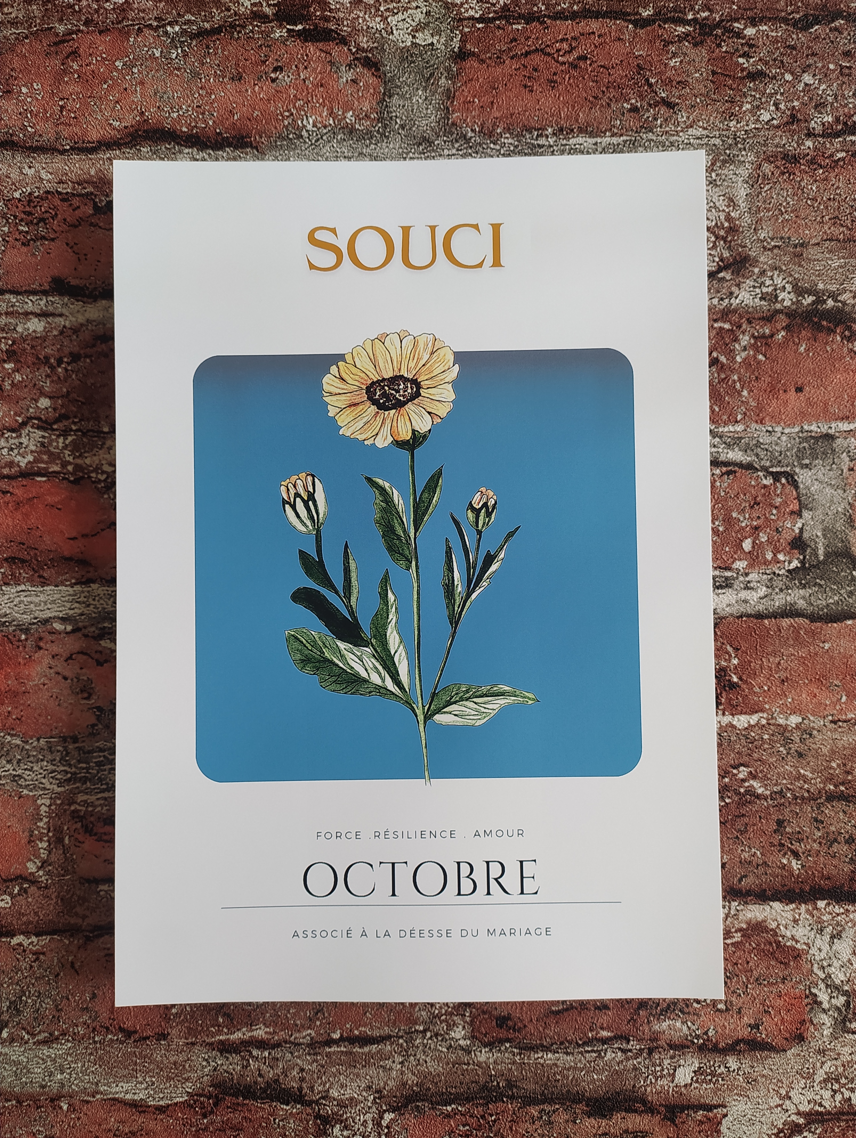 Fleur de naissance d'octobre