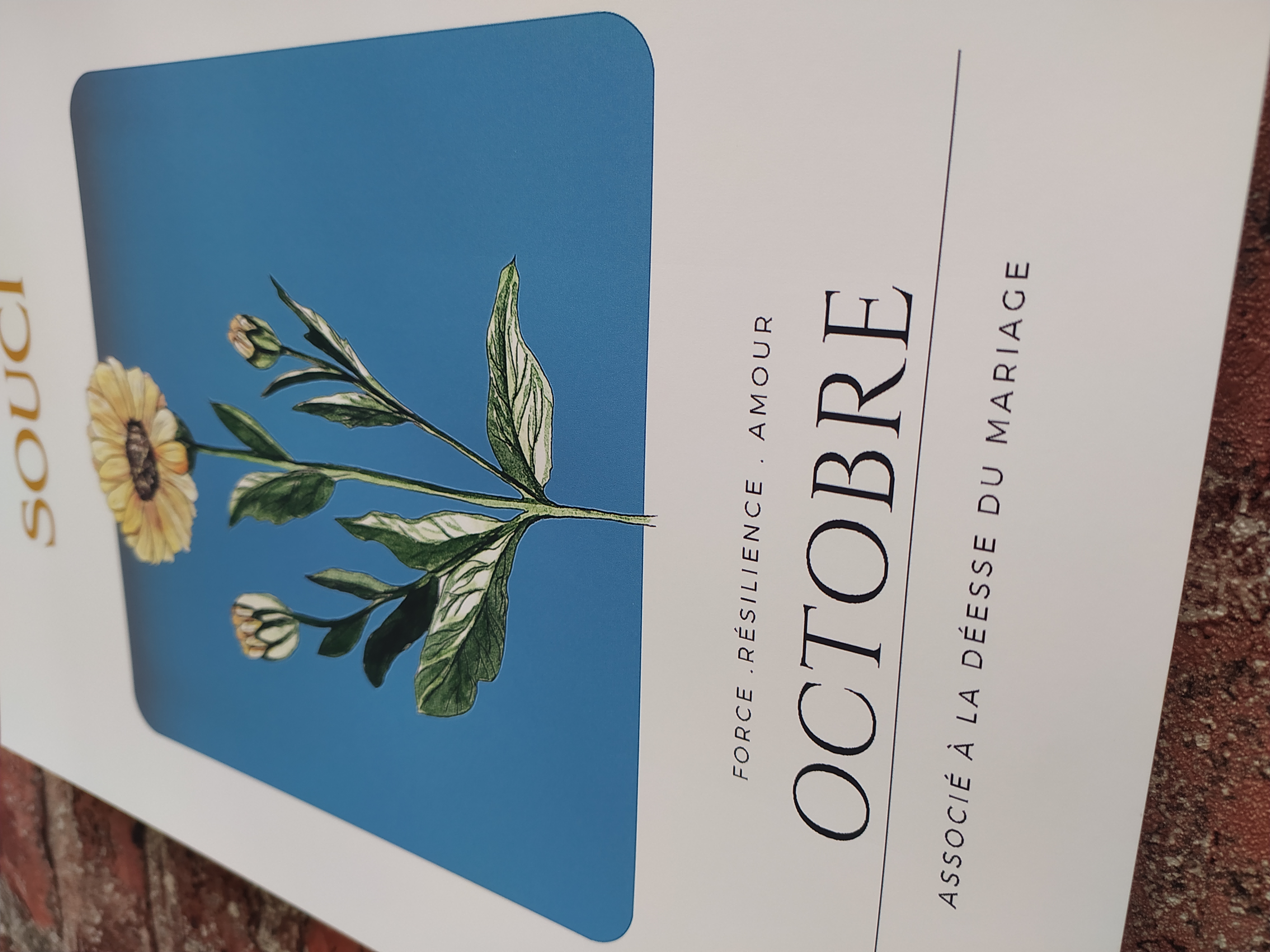 Fleur de naissance d'octobre