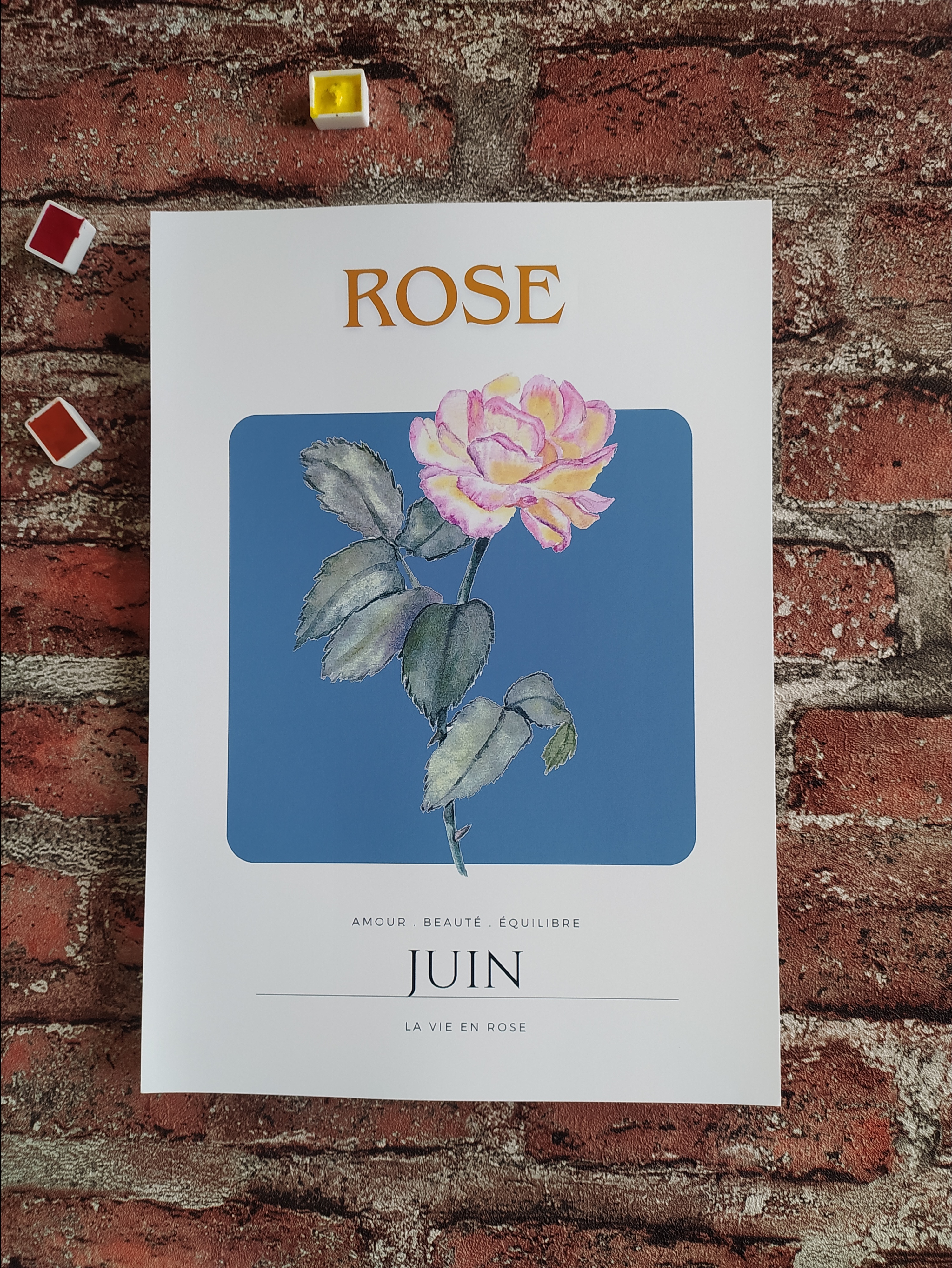 Fleur de naissance juin