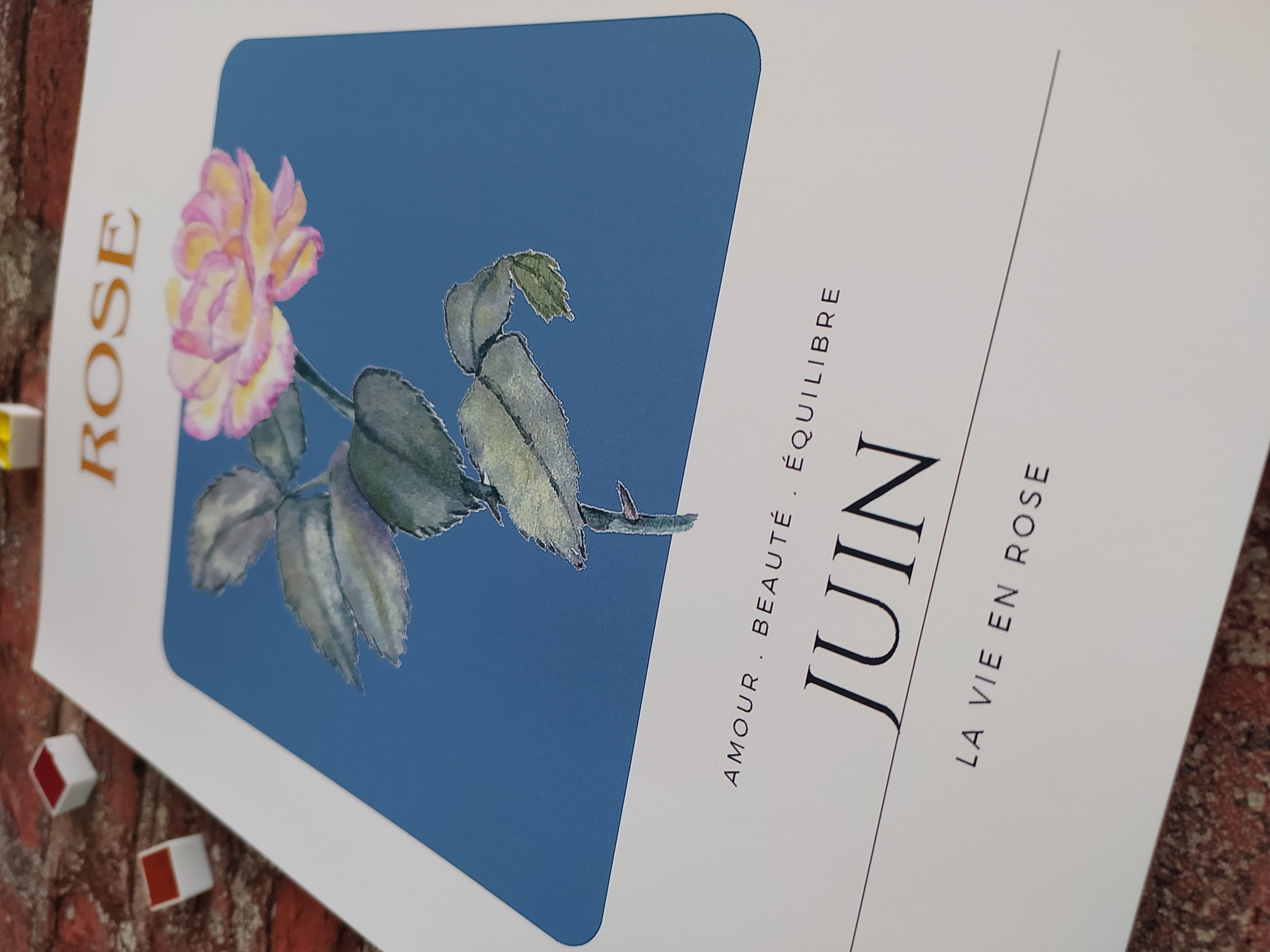 Fleur de naissance juin 