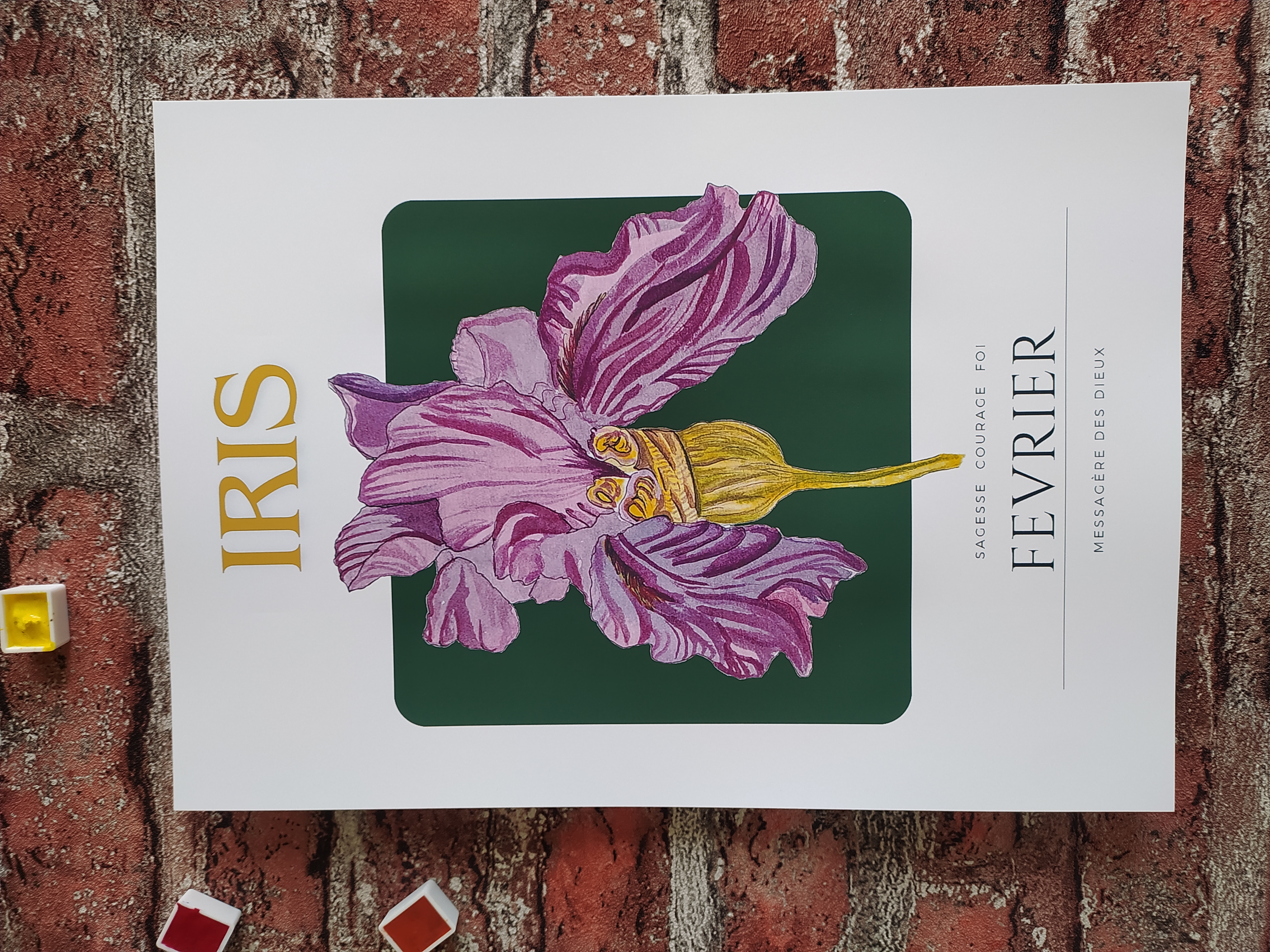 Fleur de naissance de fevrier