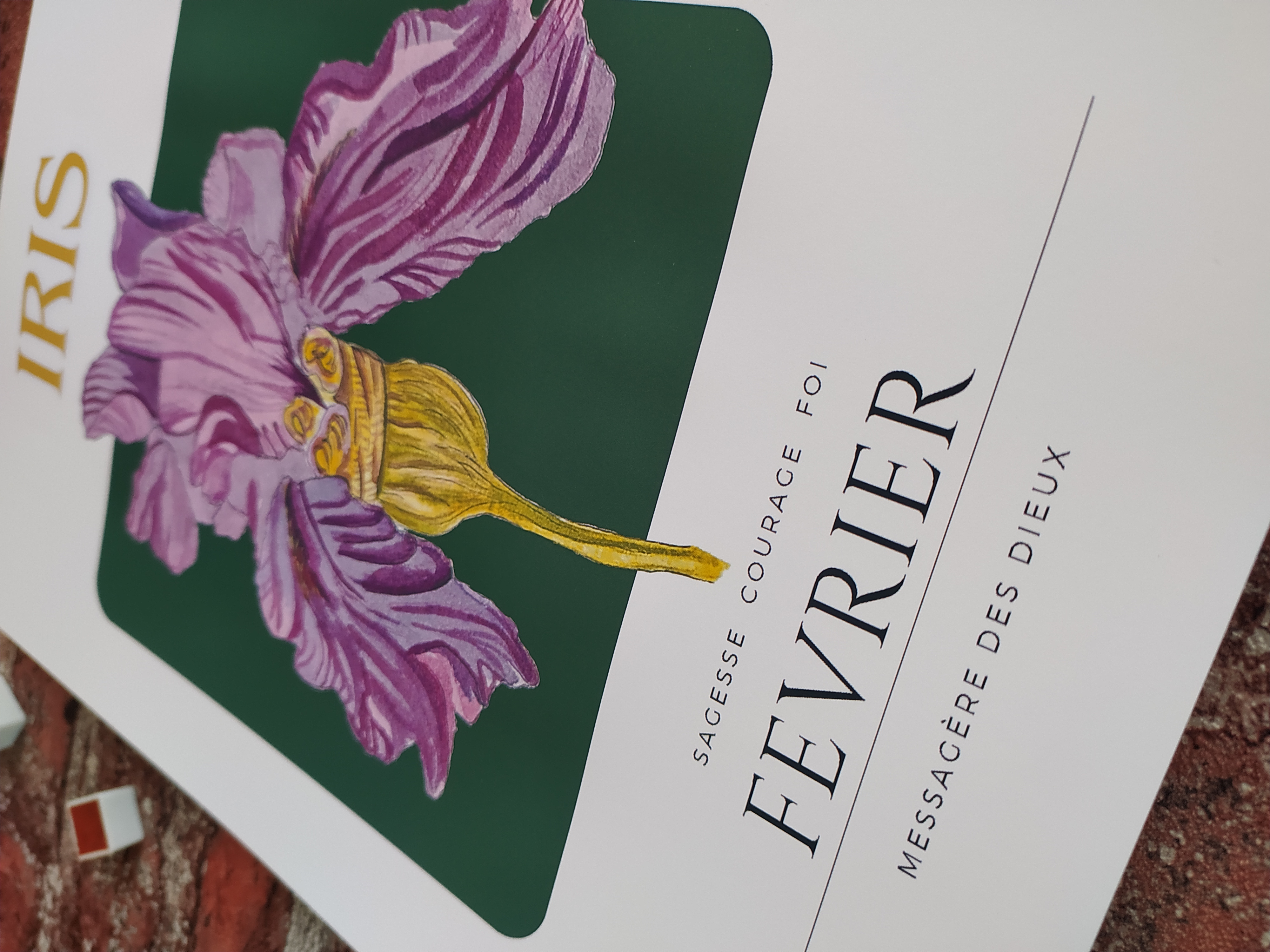 Fleur de naissance de fevrier