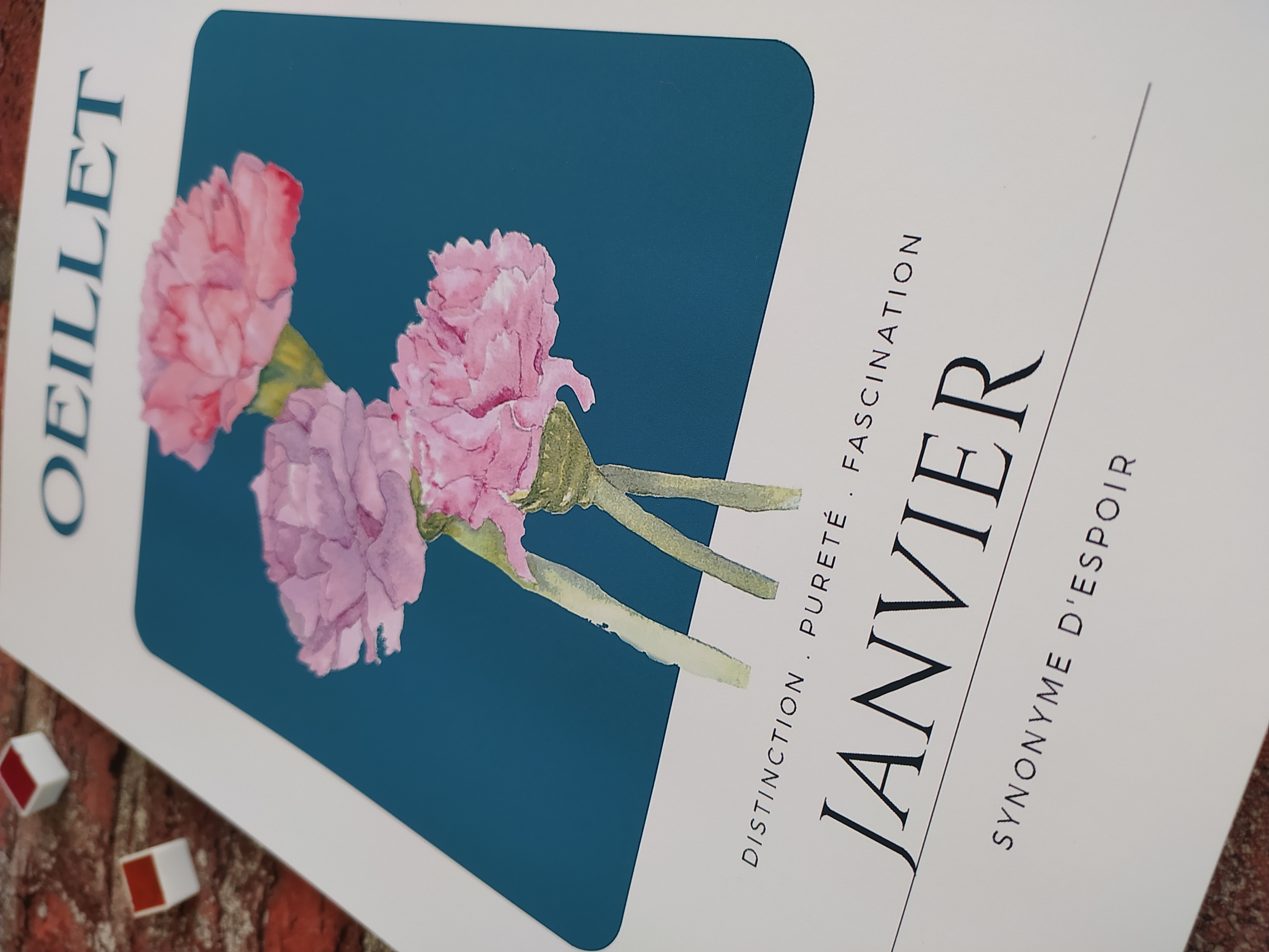 Fleur de naissance de janvier