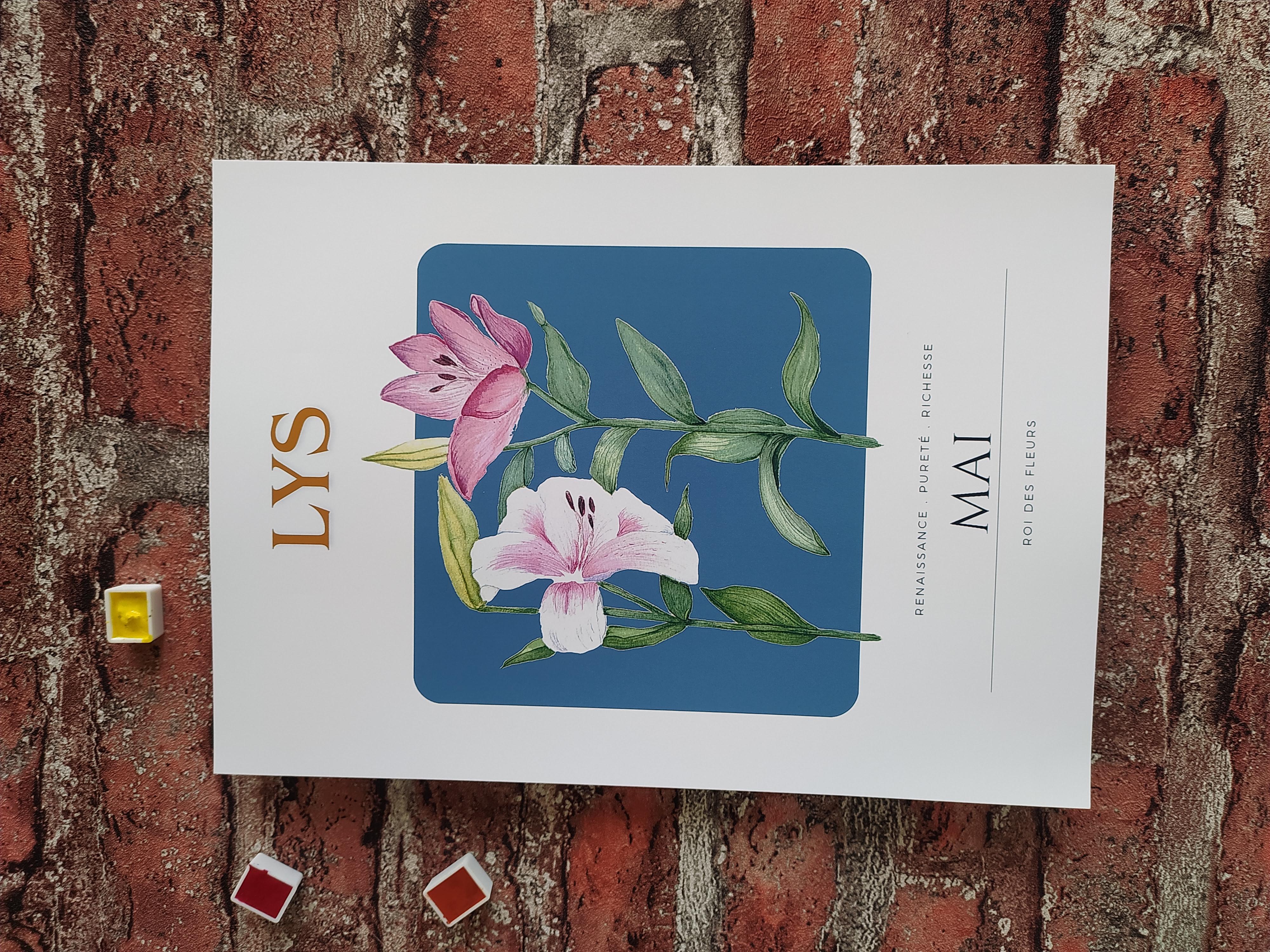 Fleur de naissance de mai