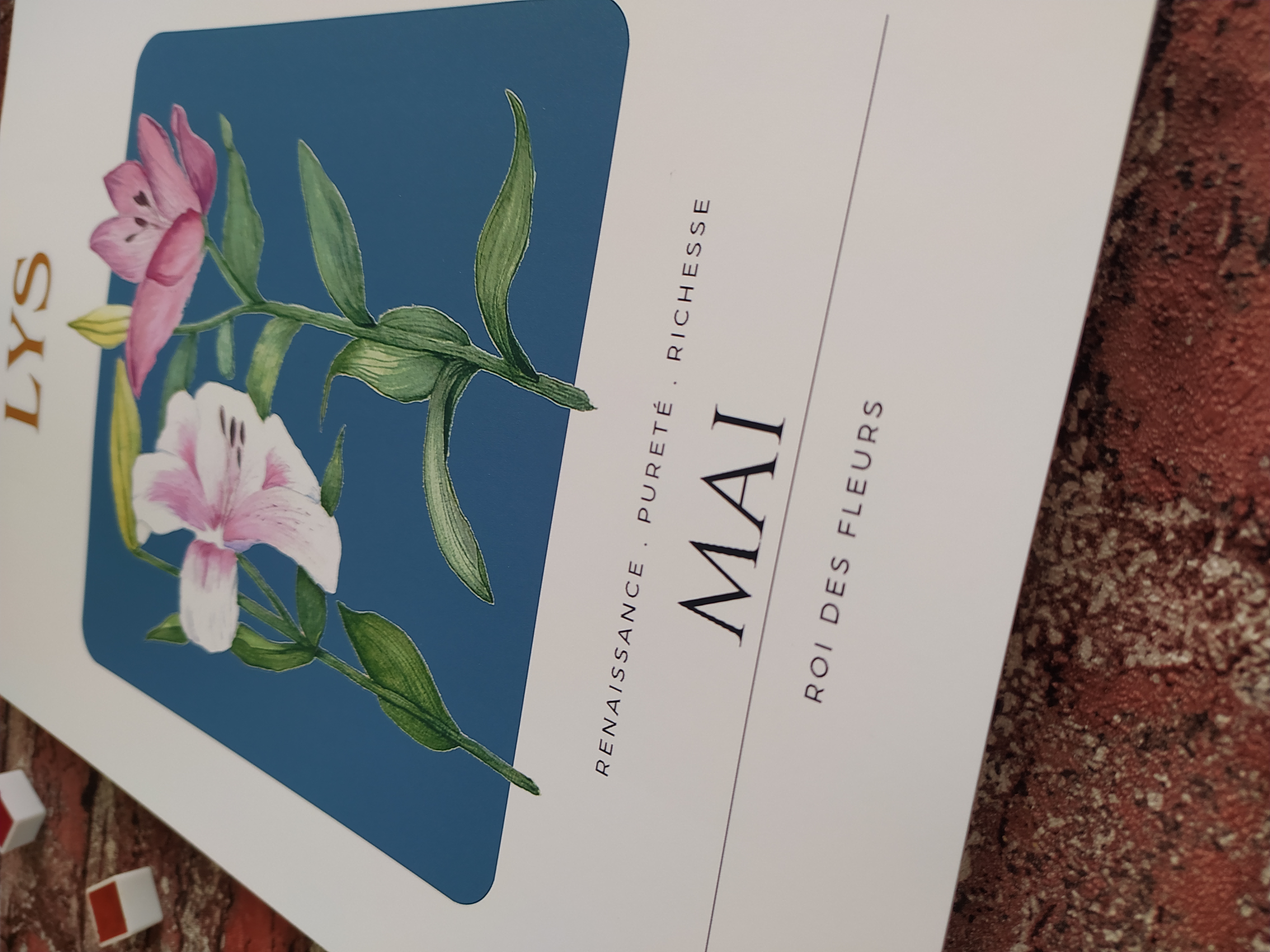 Fleur de naissance de mai