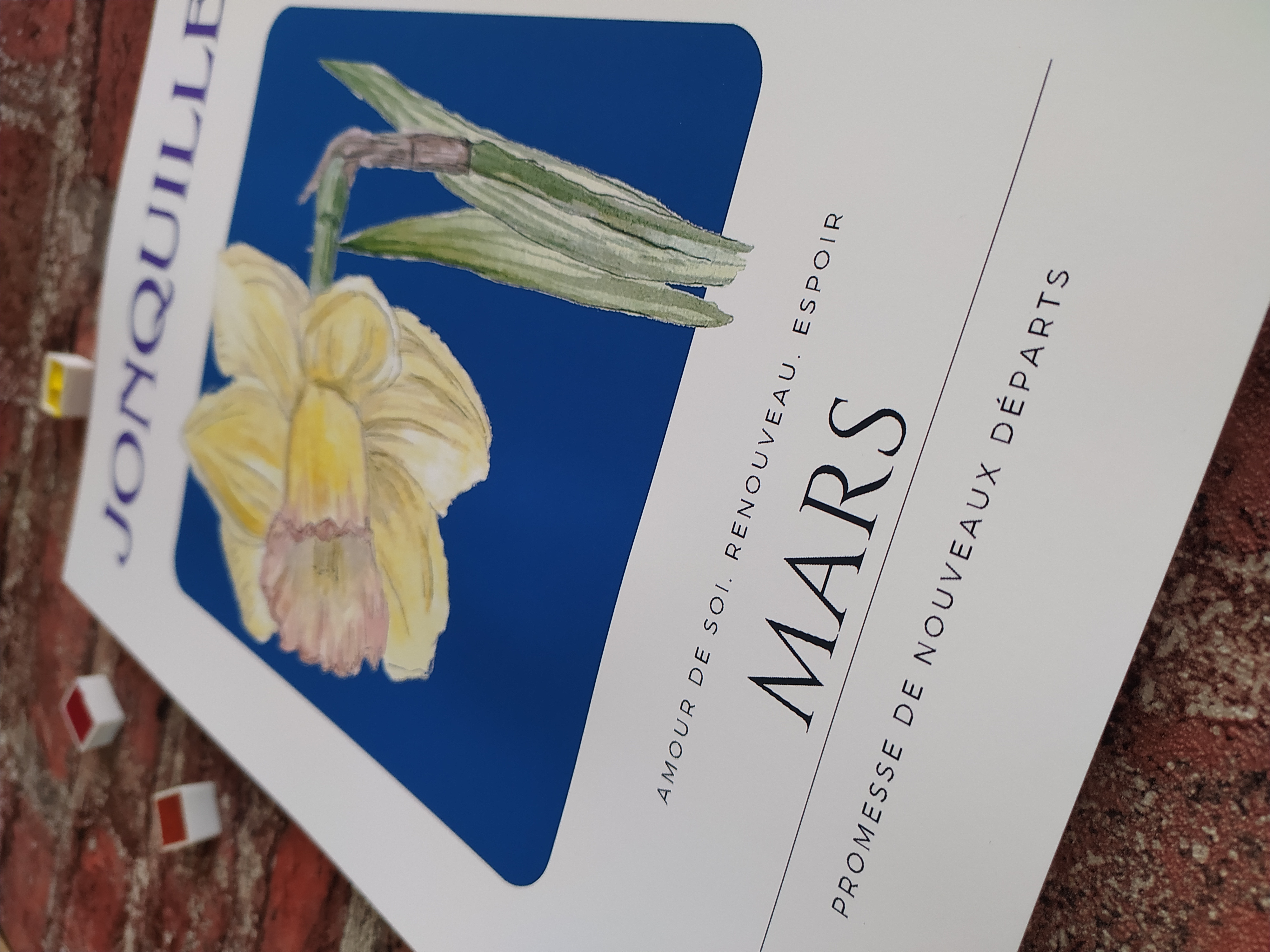 Fleur de naissance de mars