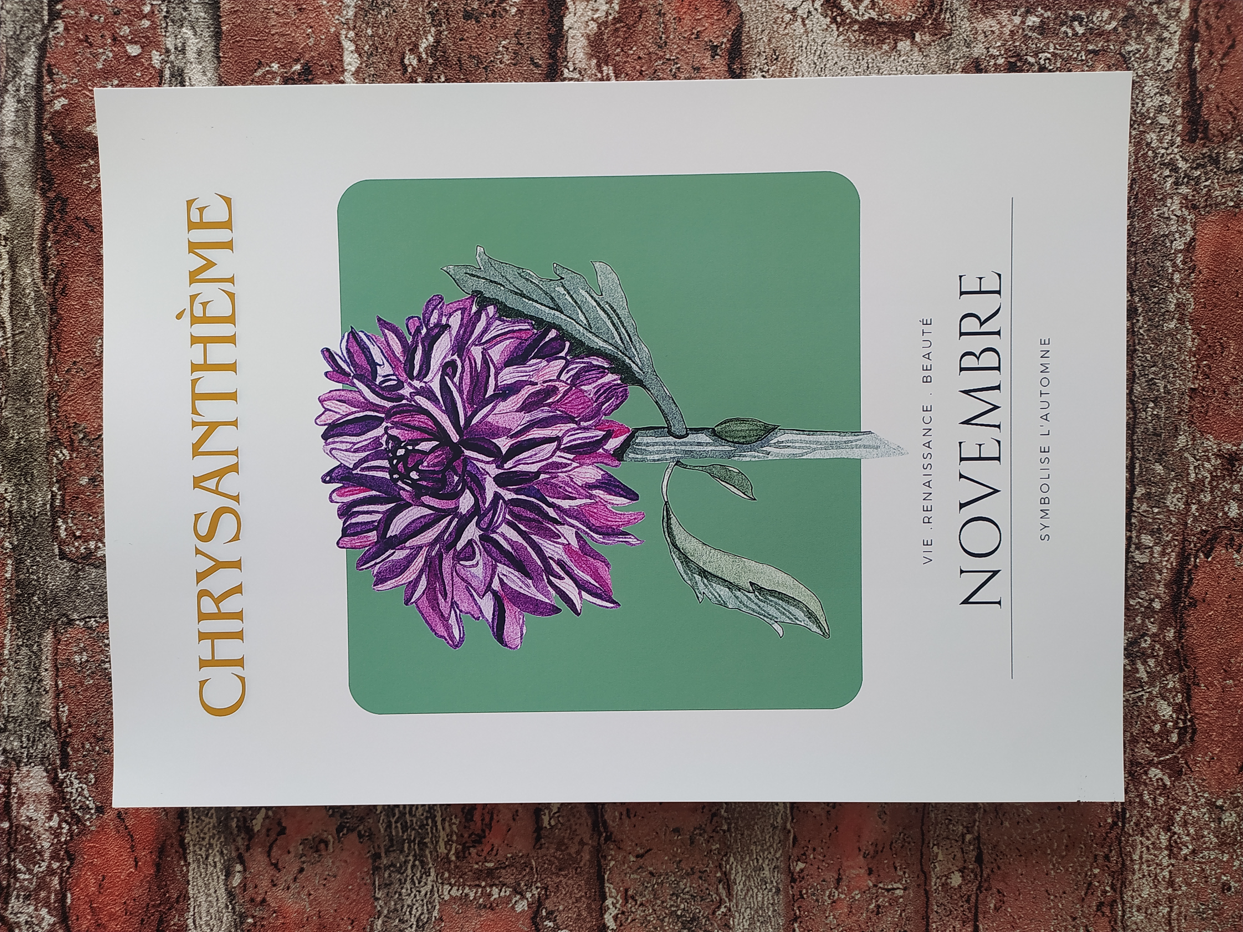 Chrysanthemum Art Print