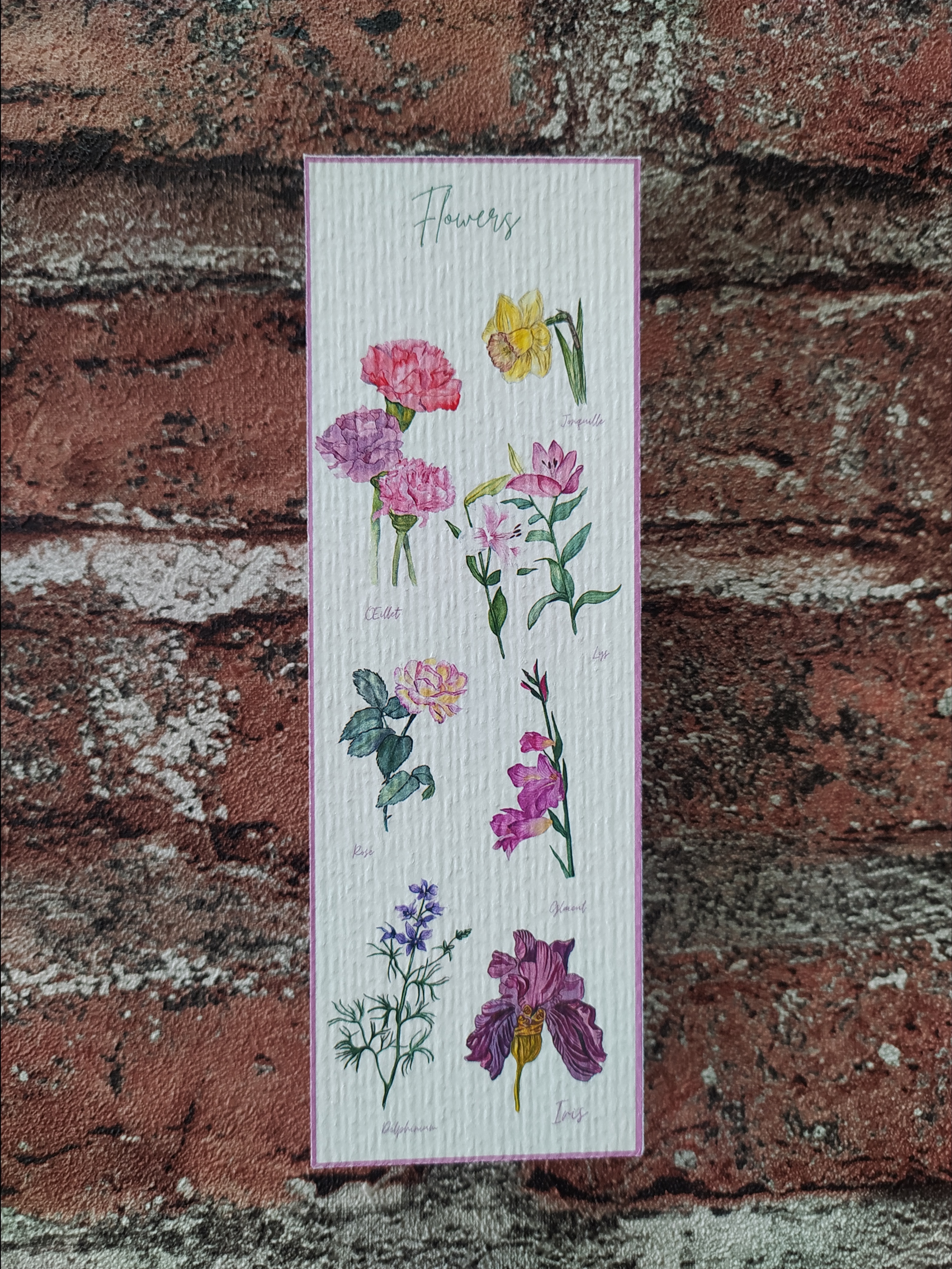 Marque page collection Flowers fine art