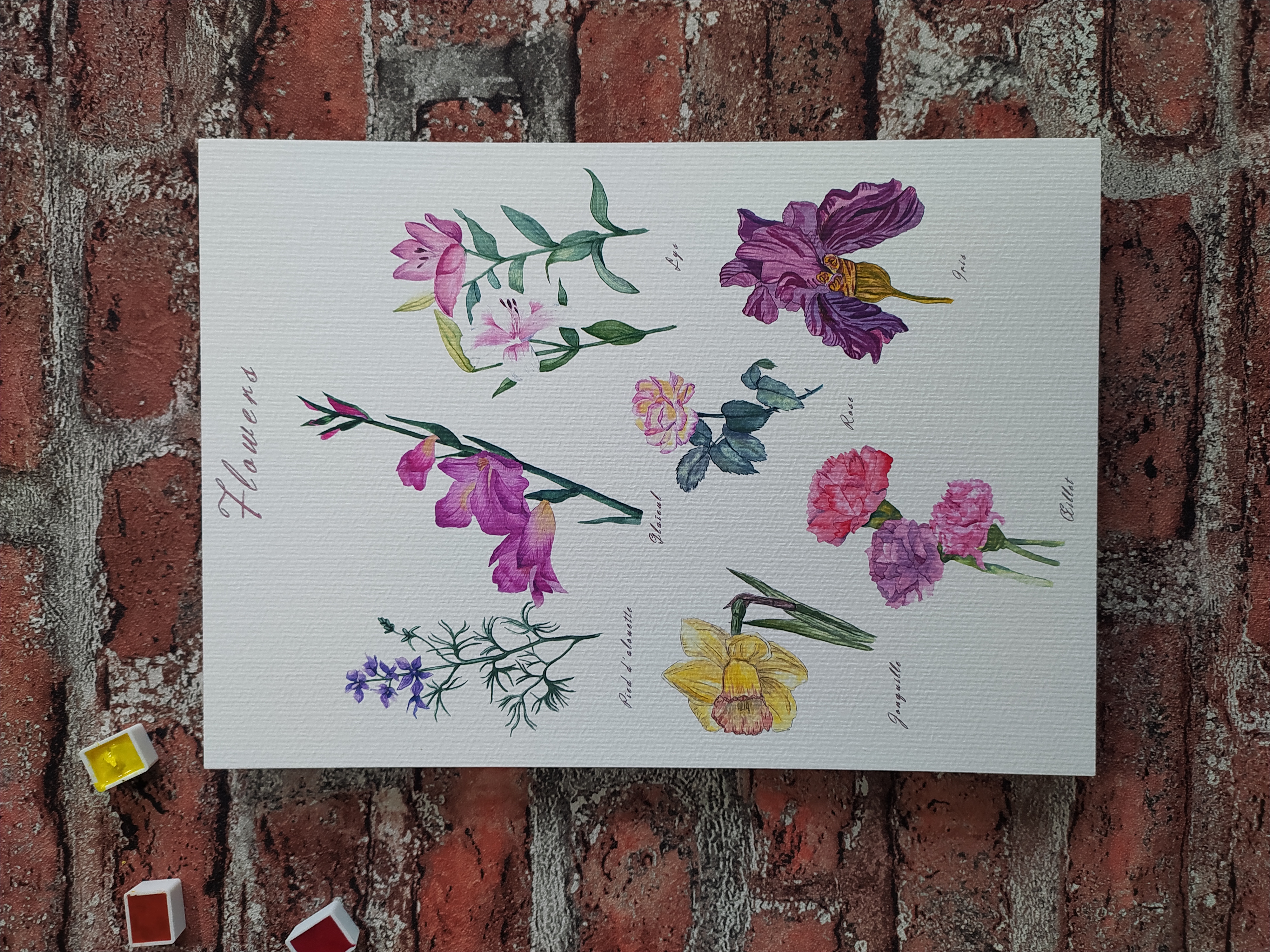 Affiche collection Flowers fine art