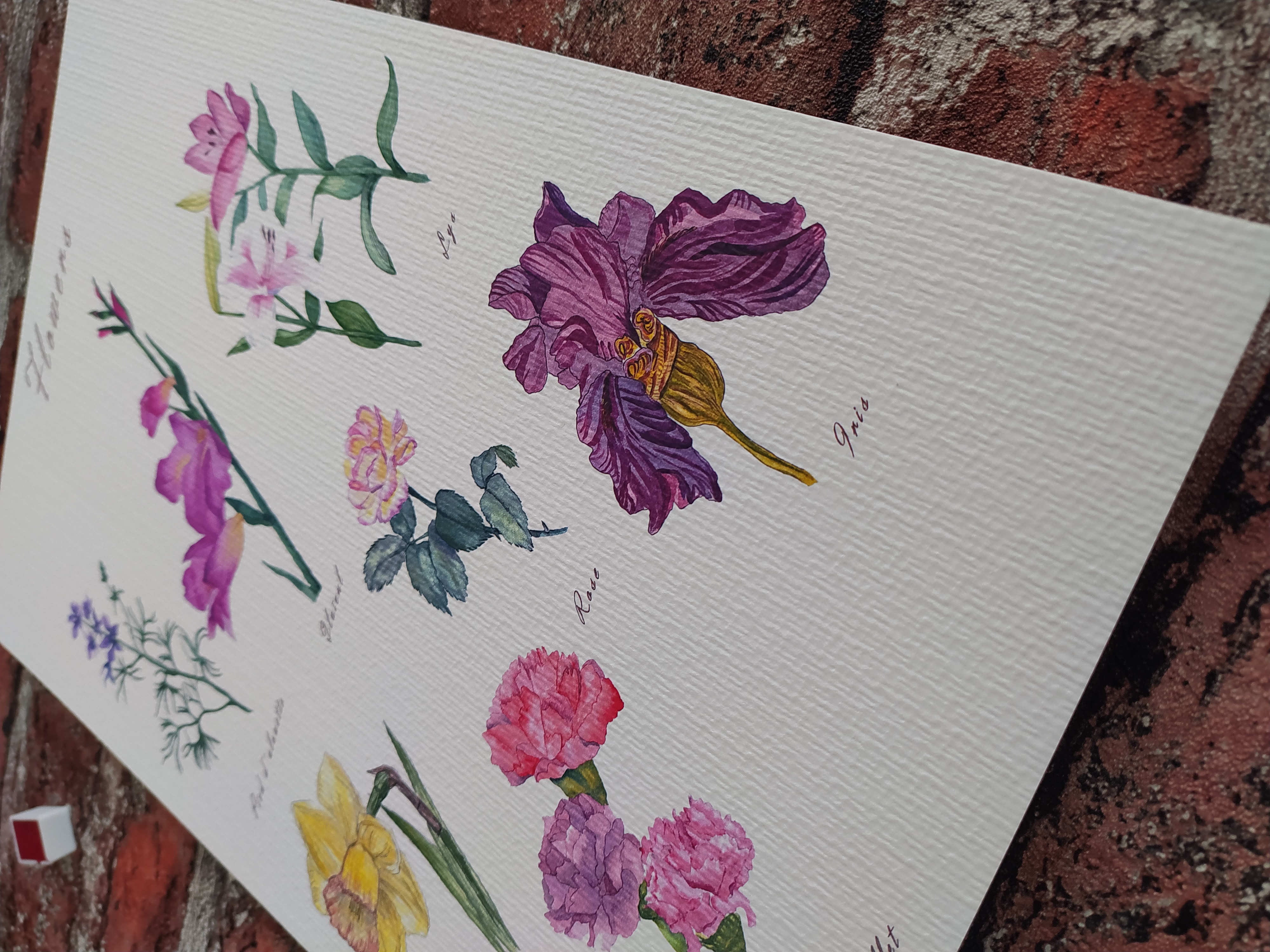 Affiche collection Flowers fine art