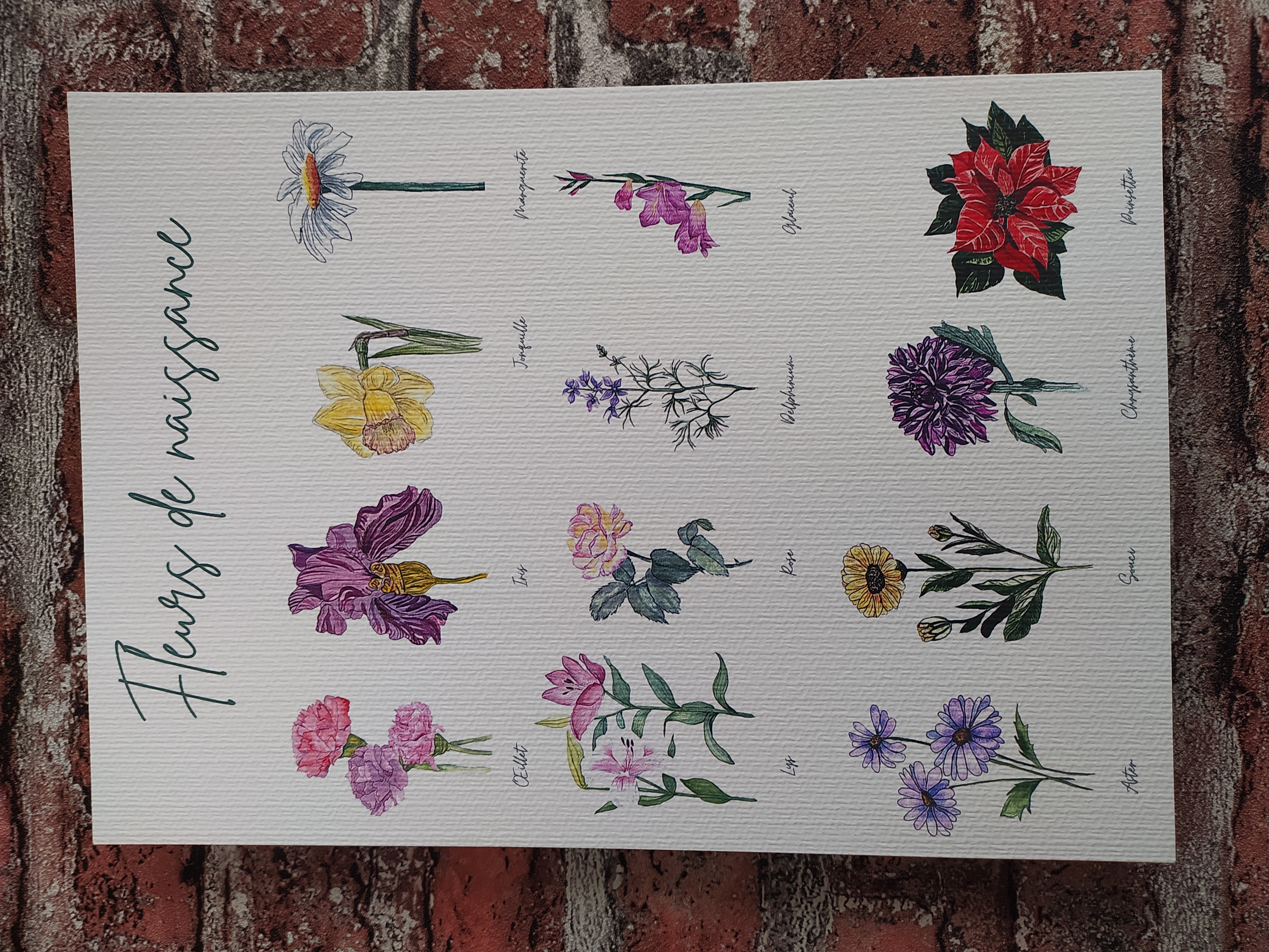 Affiche fleurs de naissance collection Flowers fine art 