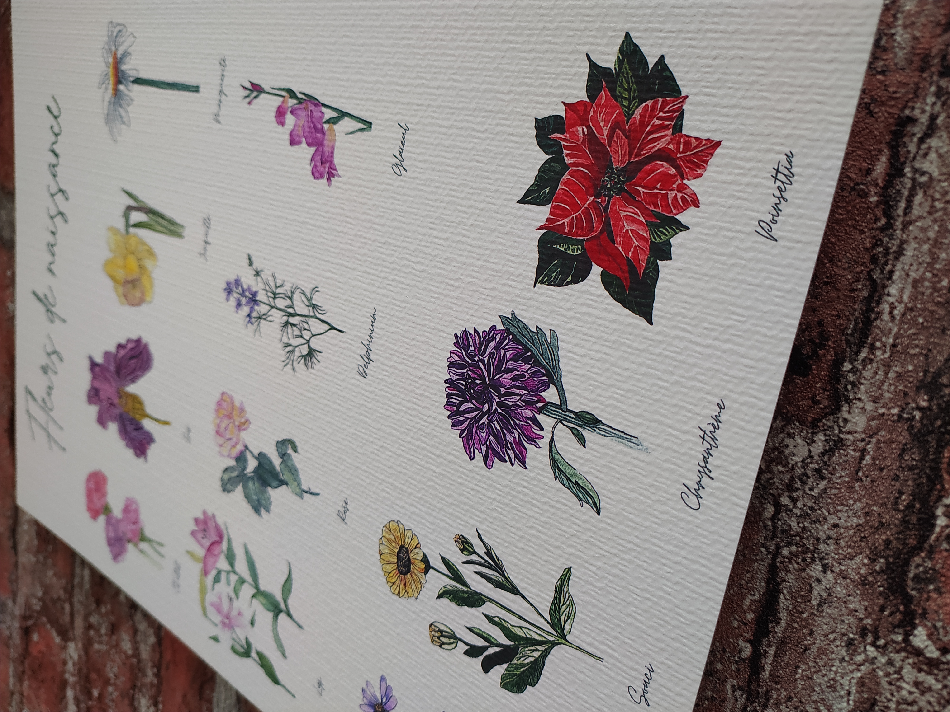 Affiche fleurs de naissance collection Flowers fine art 