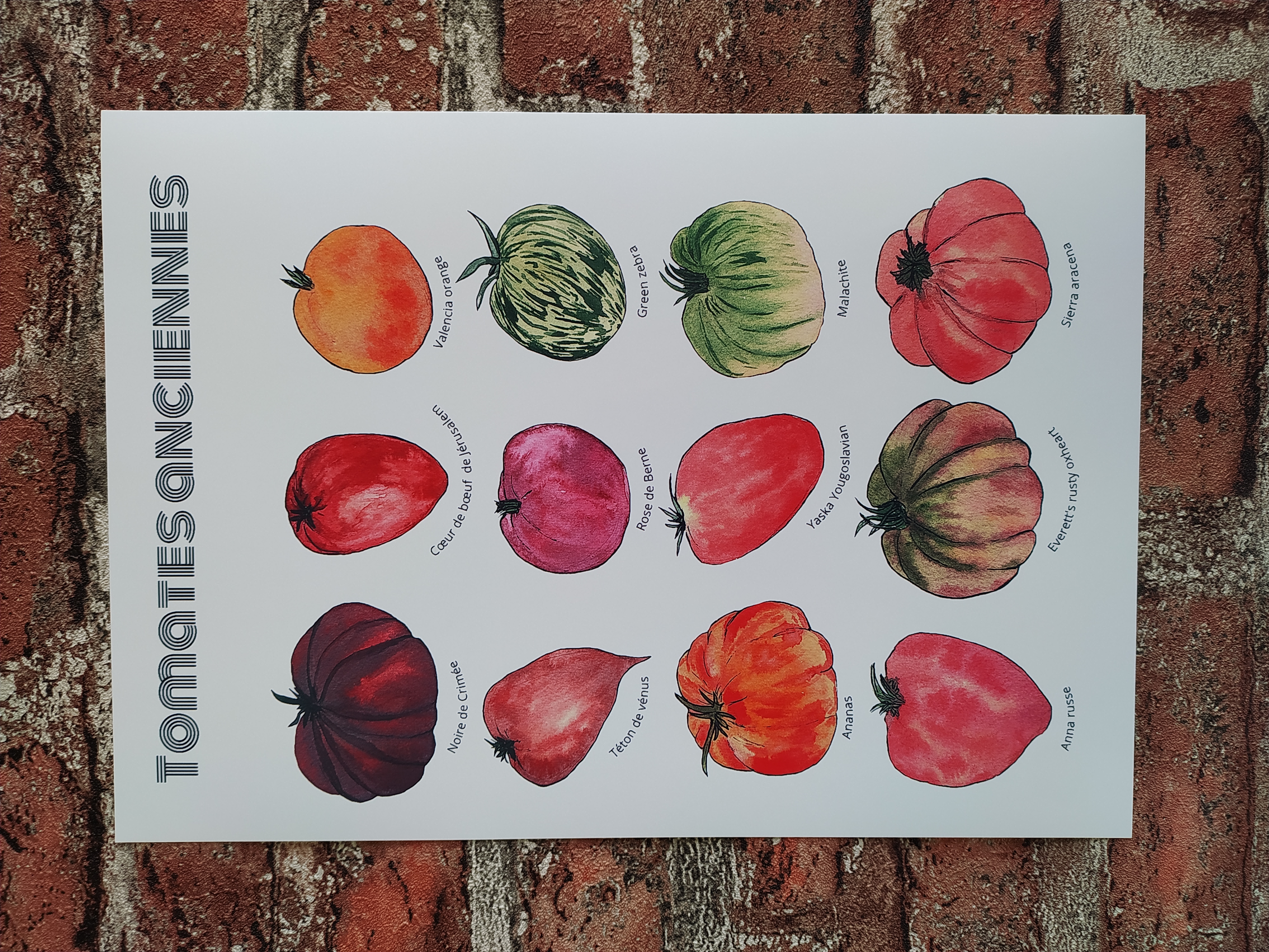 Art print tomates anciennes 