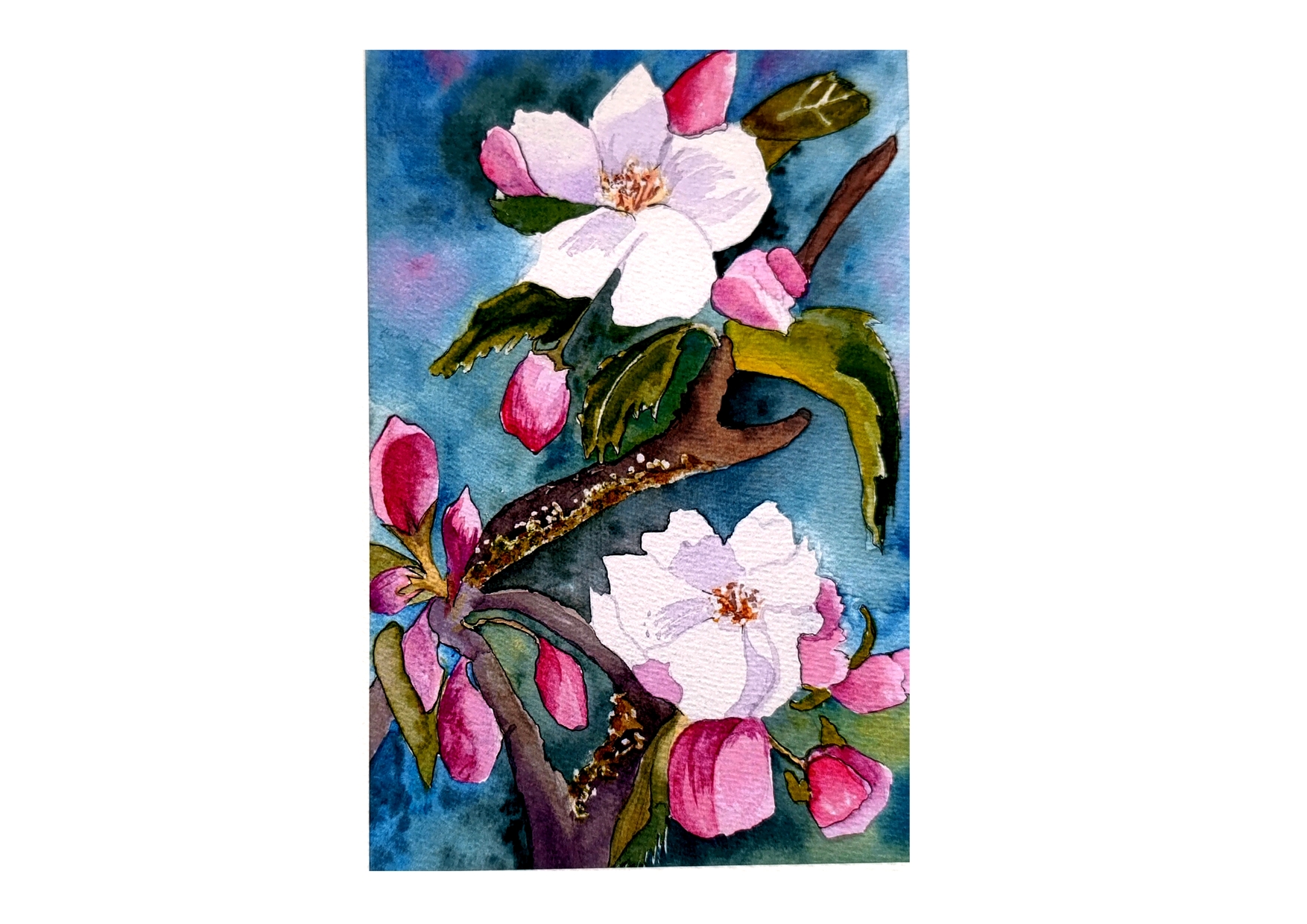 Art print fleurs de pommier 