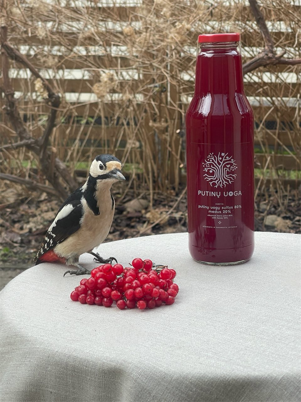 Putinų uogų sultys su medum