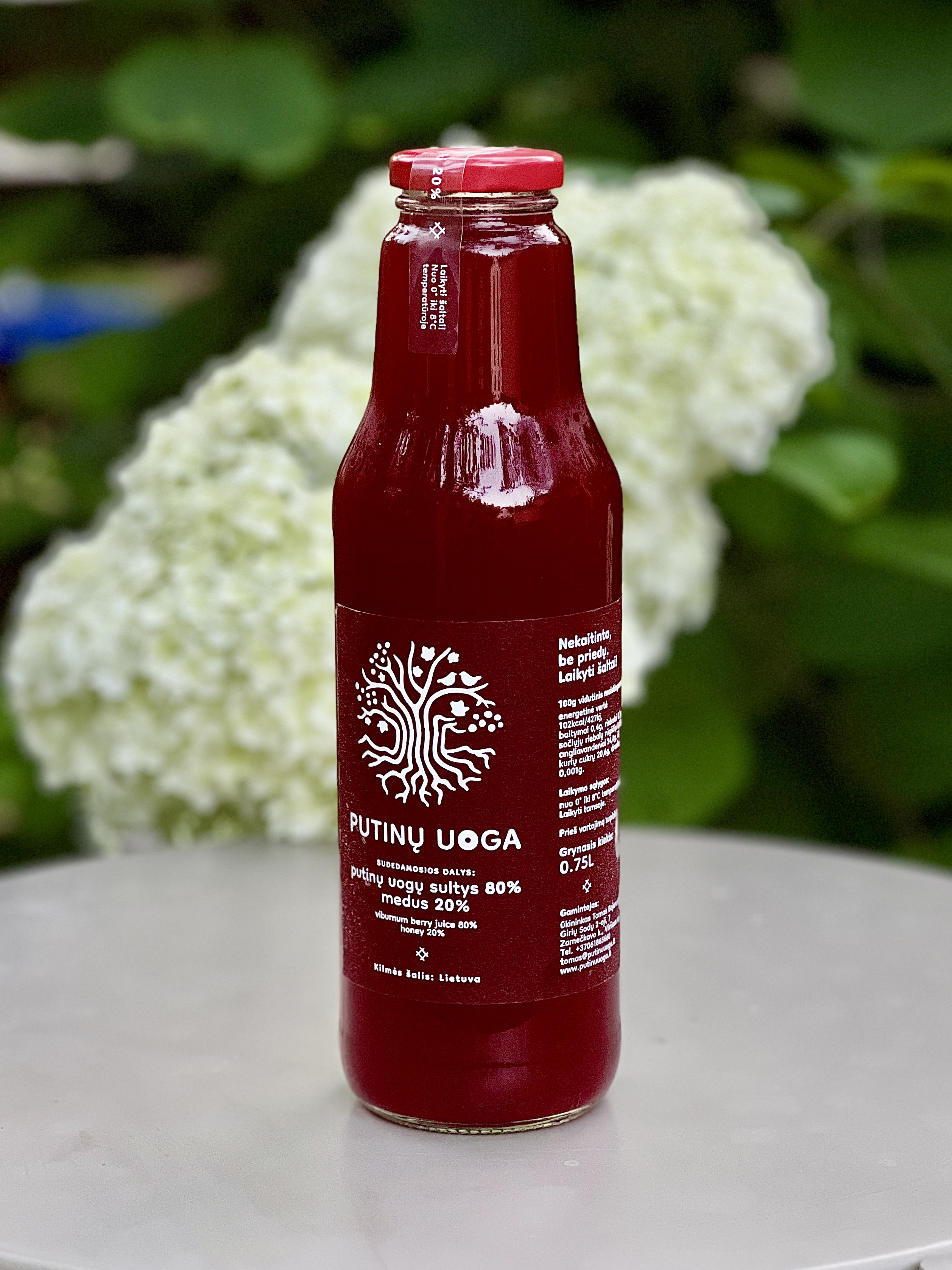 Putinų uogų sultys su medum