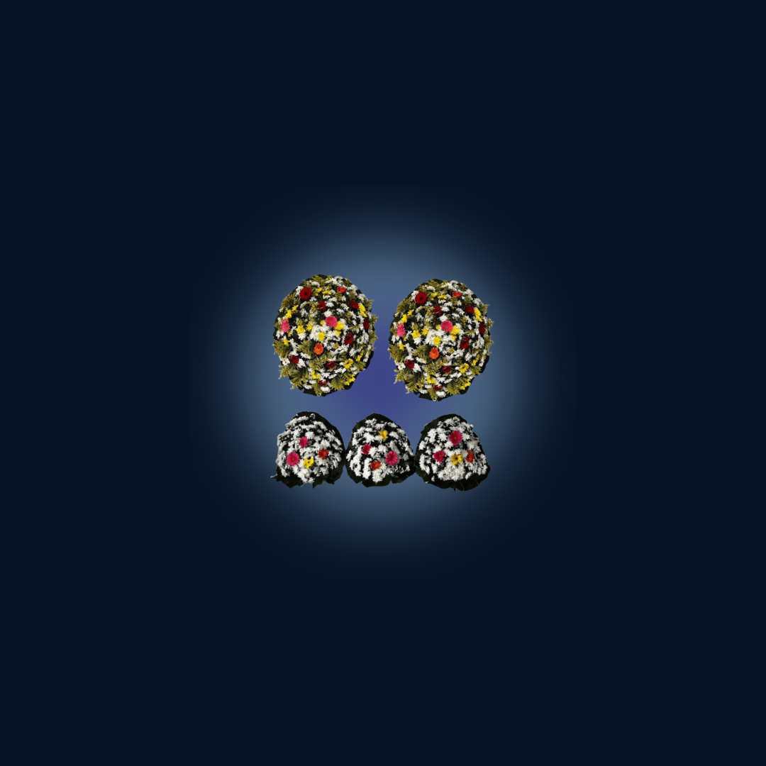 Conjunto de Flores
