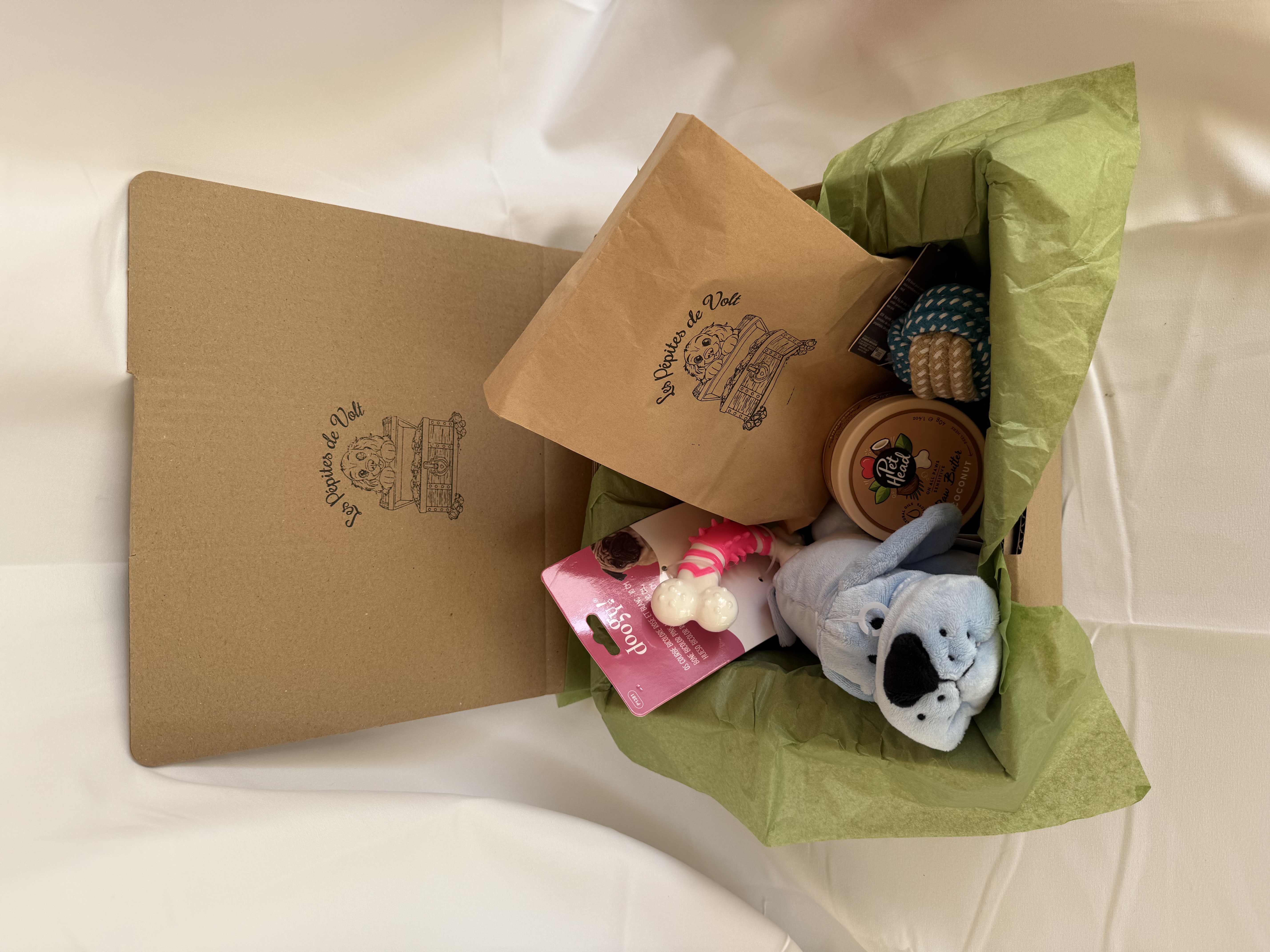 Box Découverte pour Petits Chiens Adultes