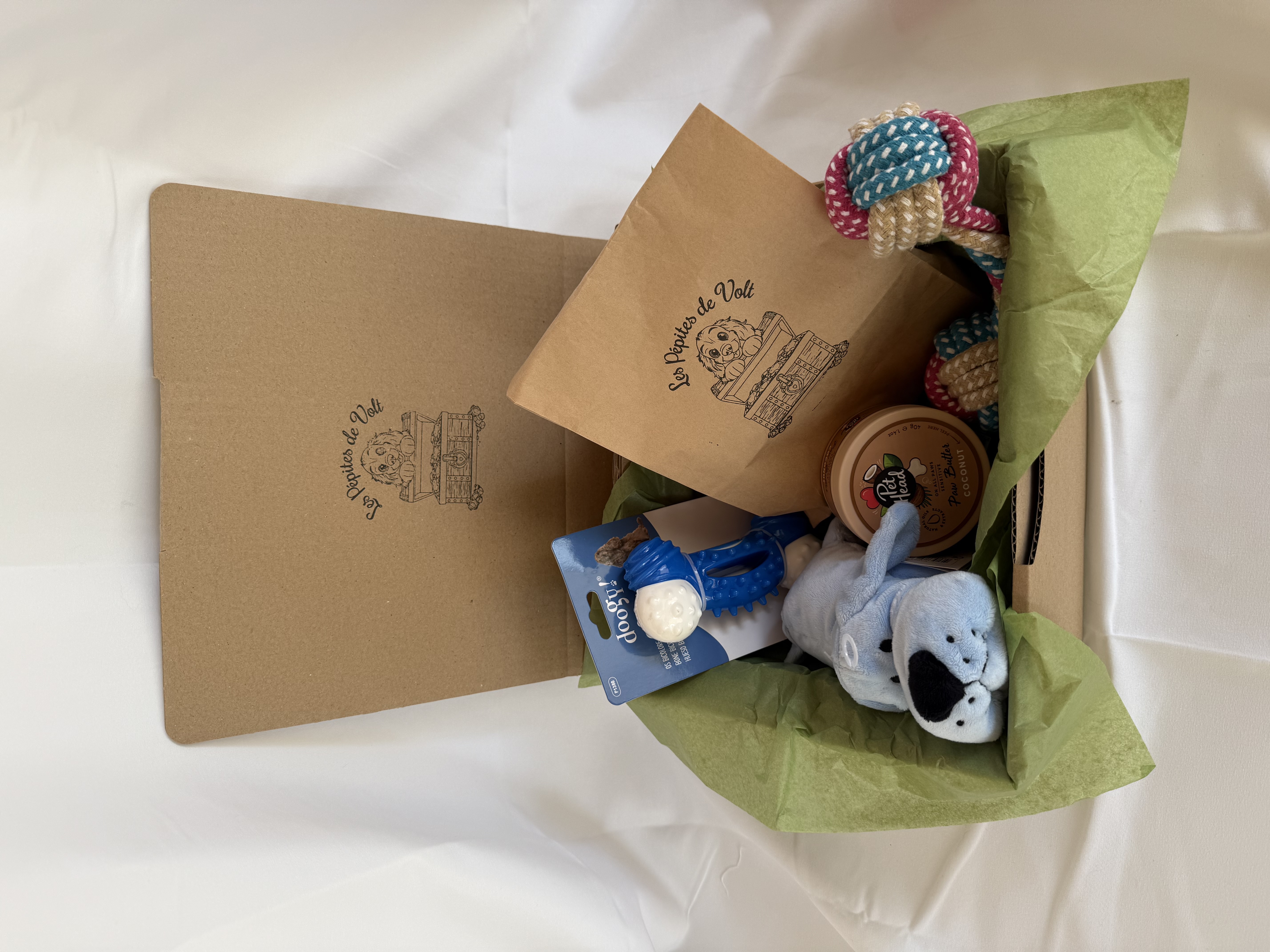 Box Découverte pour Chiens Adultes de Taille Moyenne