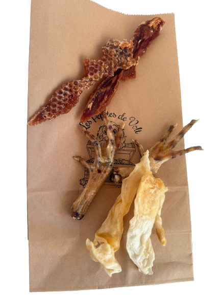 Box Découverte pour Chiens Adultes de Grande Taille