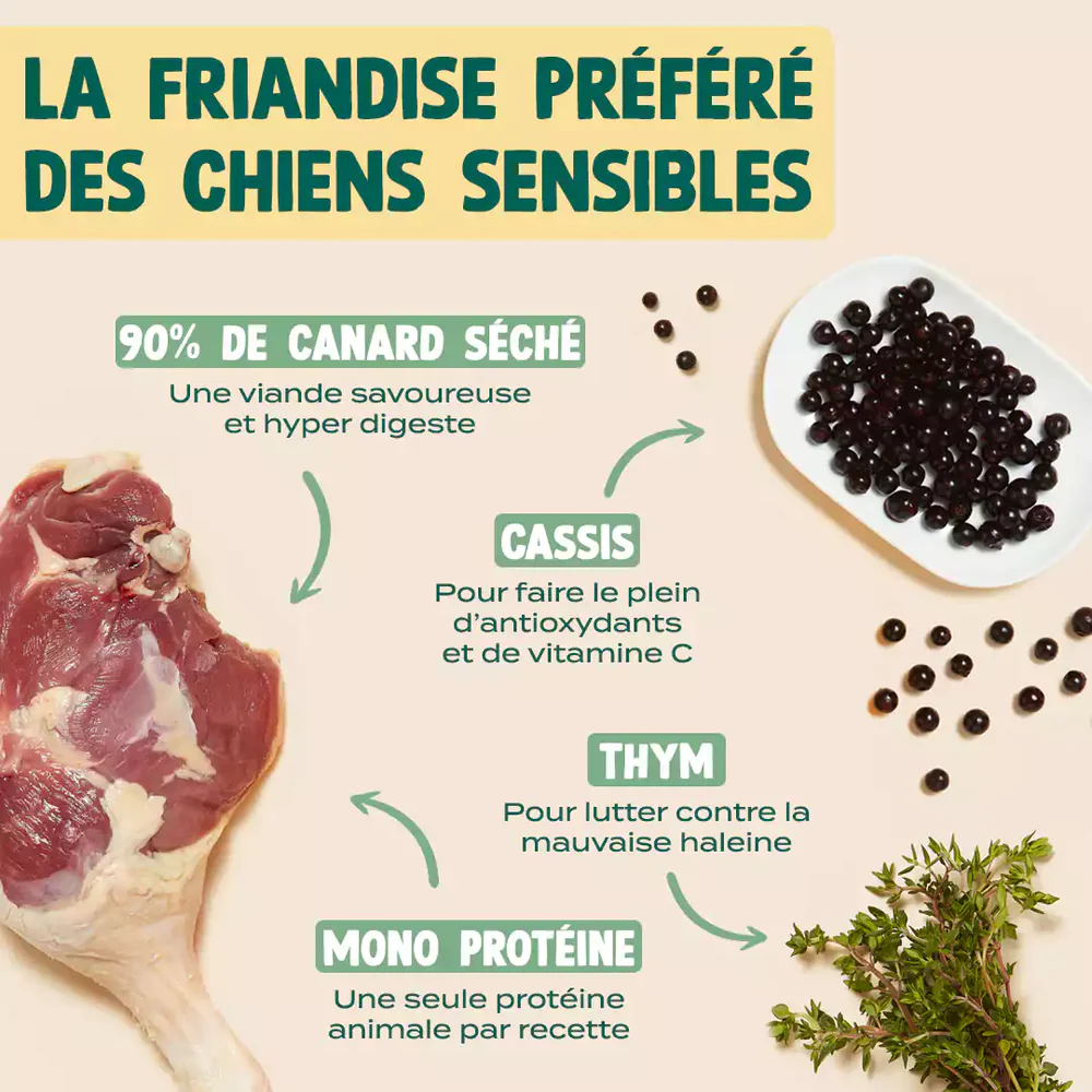 Viande séchée de canard - 100 g 