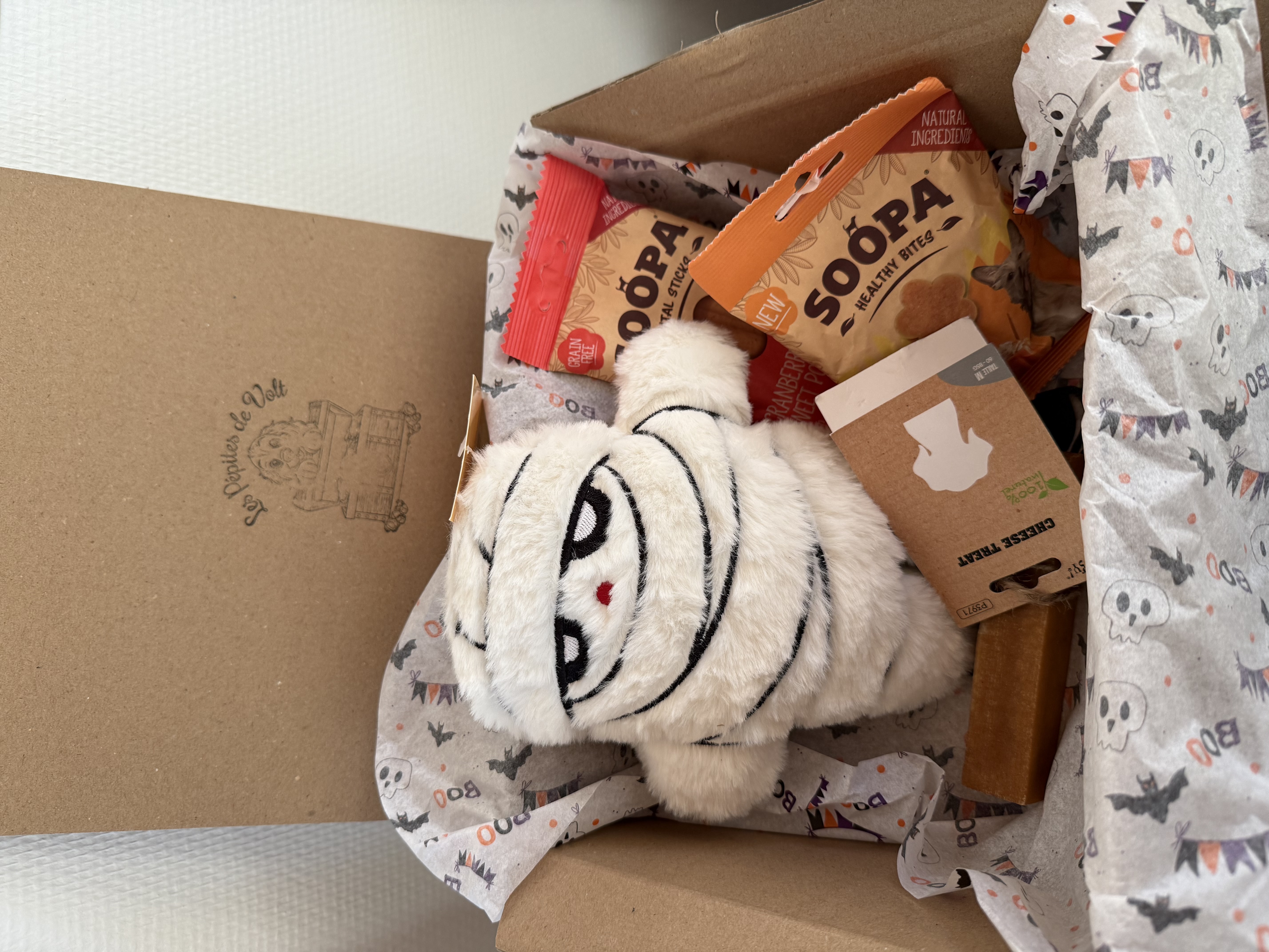 Box d'halloween pour chiens