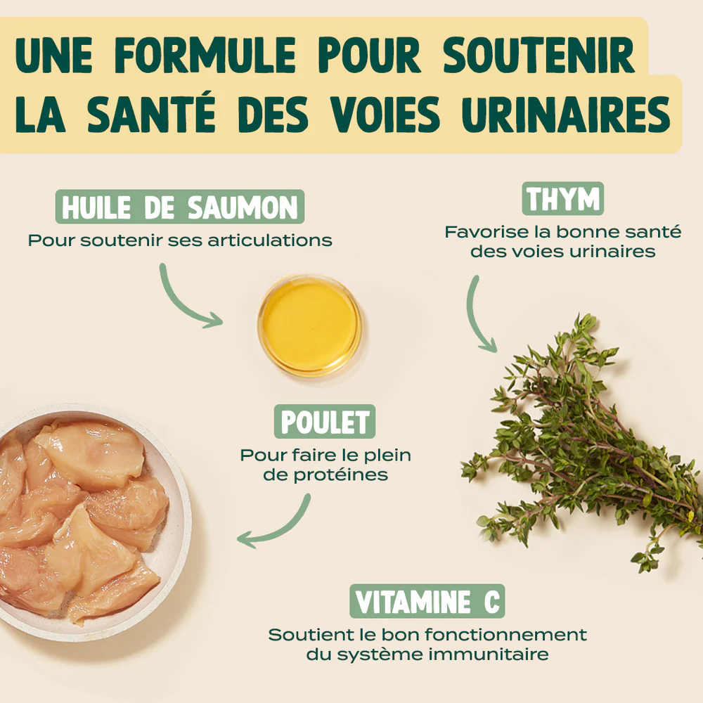 Mini snack urinaire - 50 g