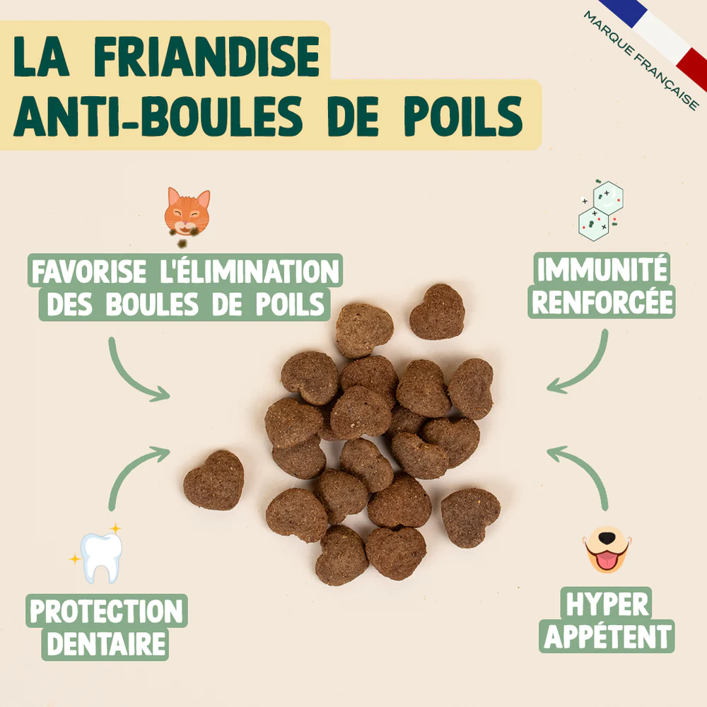 Biscroc' anti boules de poils pour chat - 50 g