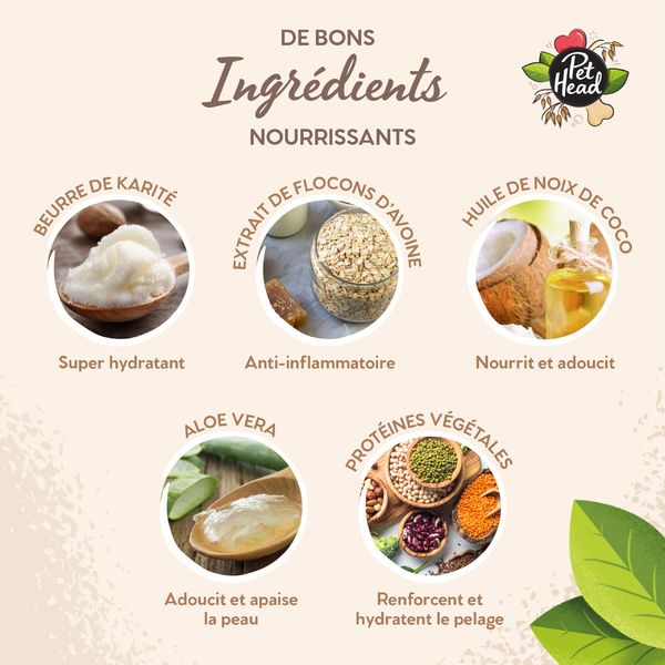 Baume pour les coussinets et la truffe - 40 gr